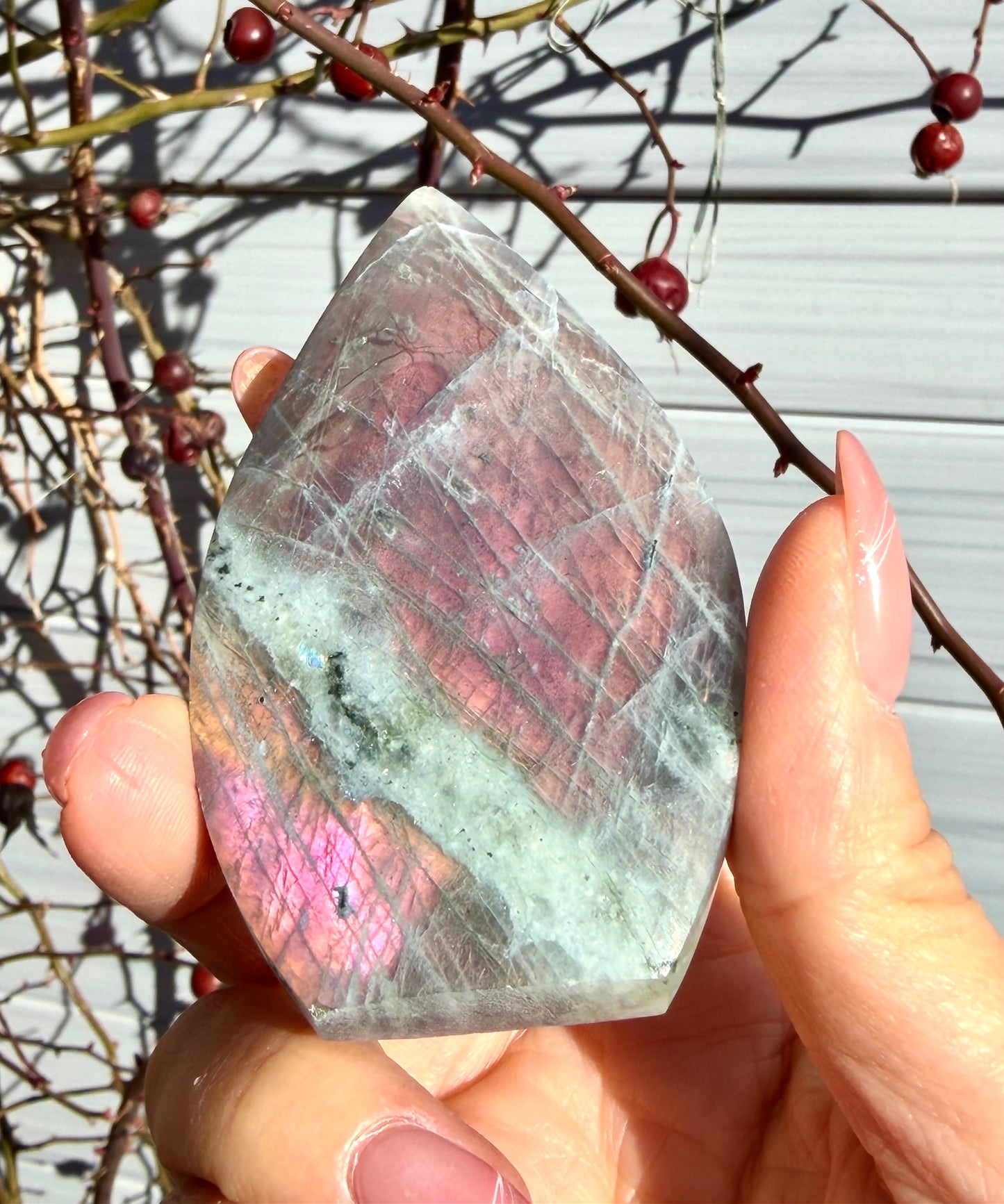 2 lbs Natural Sunset Labradorite Freeform Crystal Wholesale