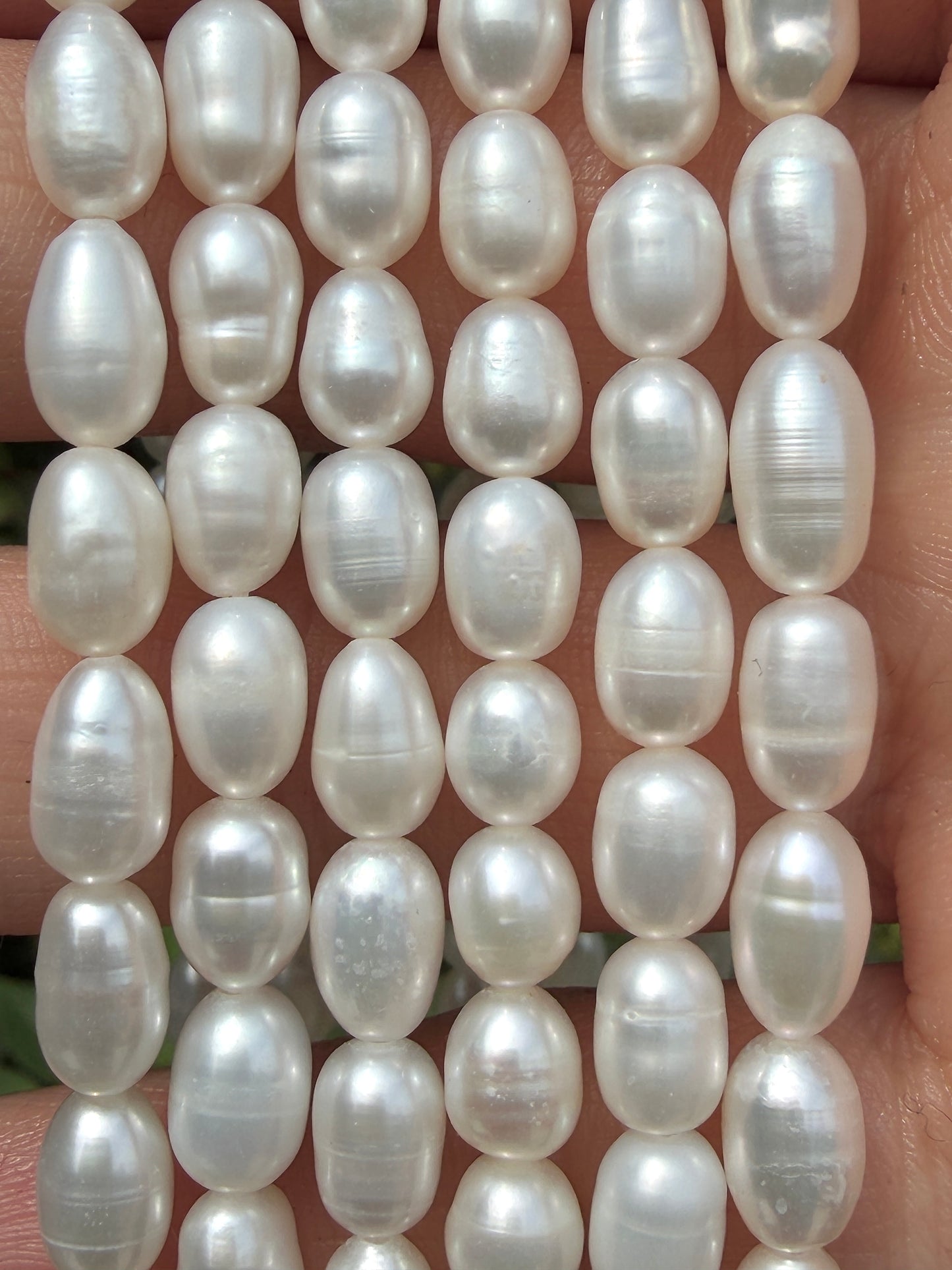 6 PCs 6 pcs ~5.5mm Natural Freshwater Pearl Necklace Healing Energy