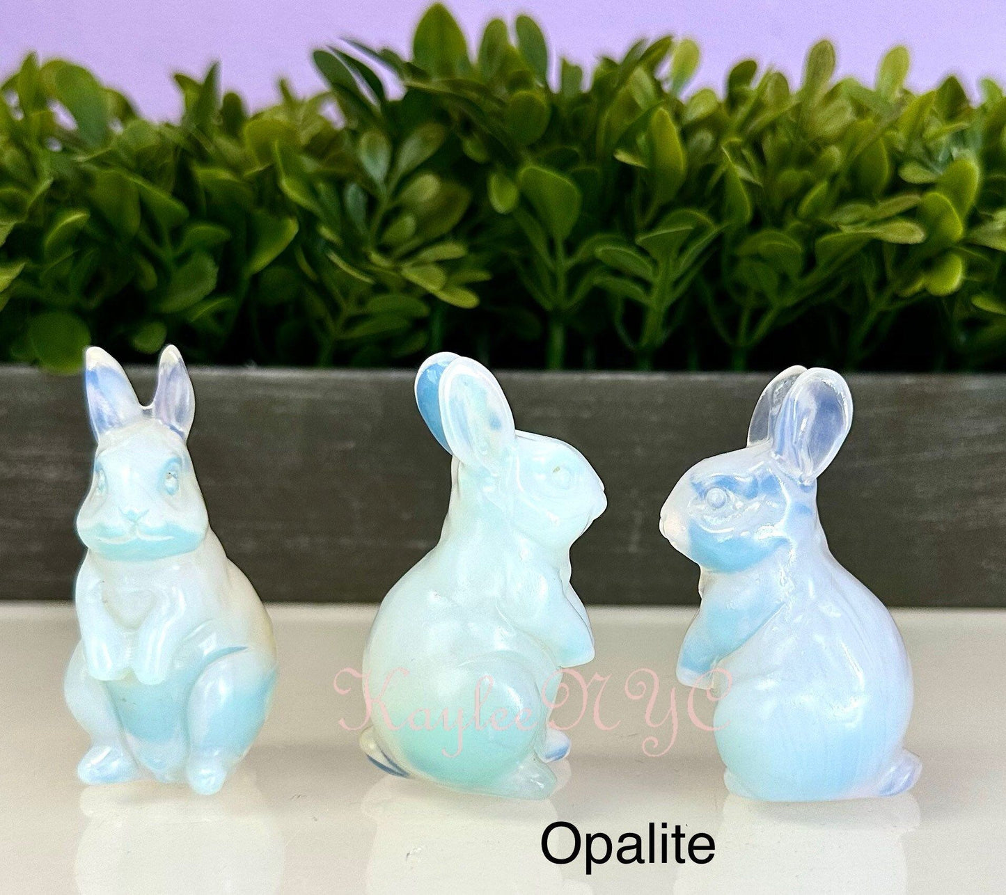 Wholesale Lot 6 PCs Natural Mix Crystal Rabbit Bunny Crystal Healing Energy