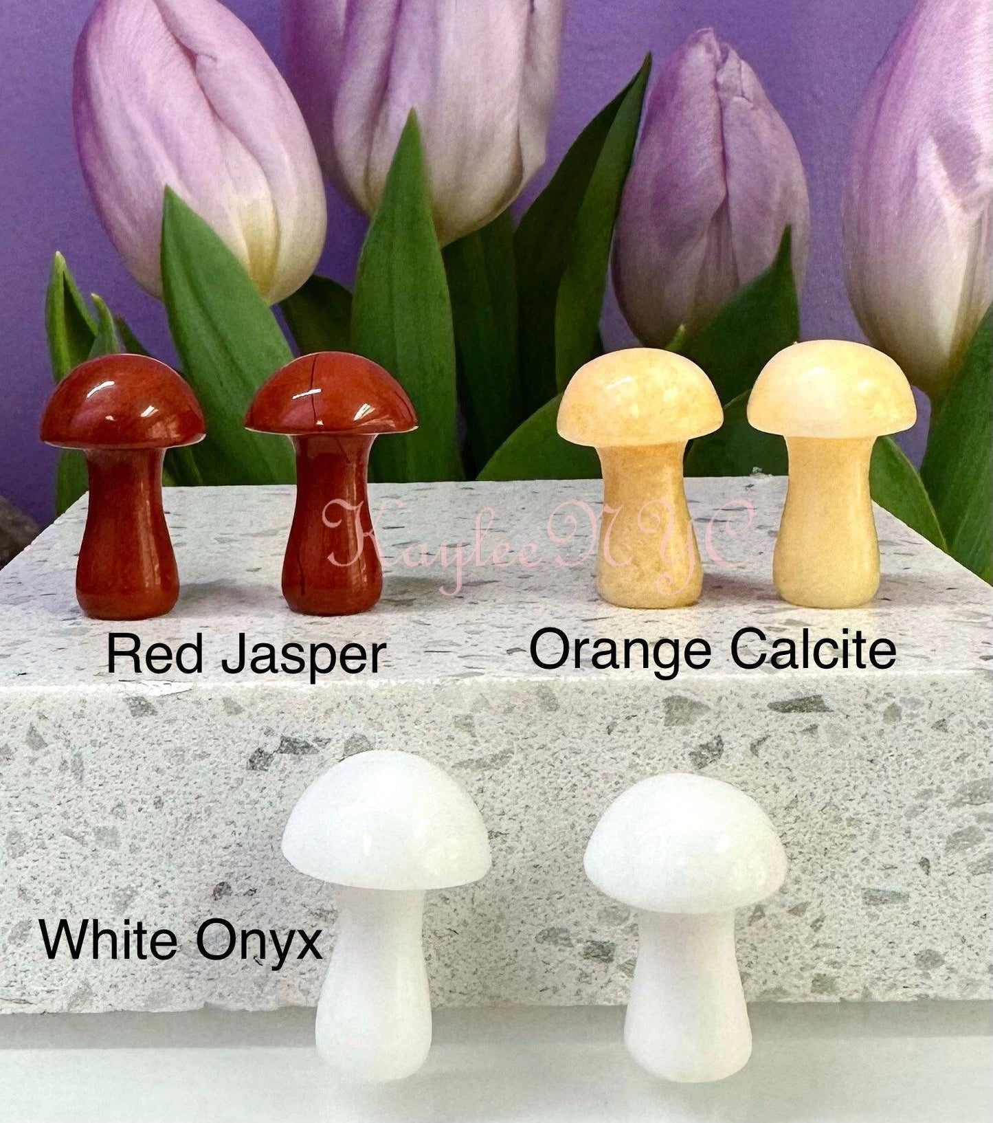 Wholesale Lot 40 PCs Natural Mixed 1” Crystal Mushroom Healing Energy