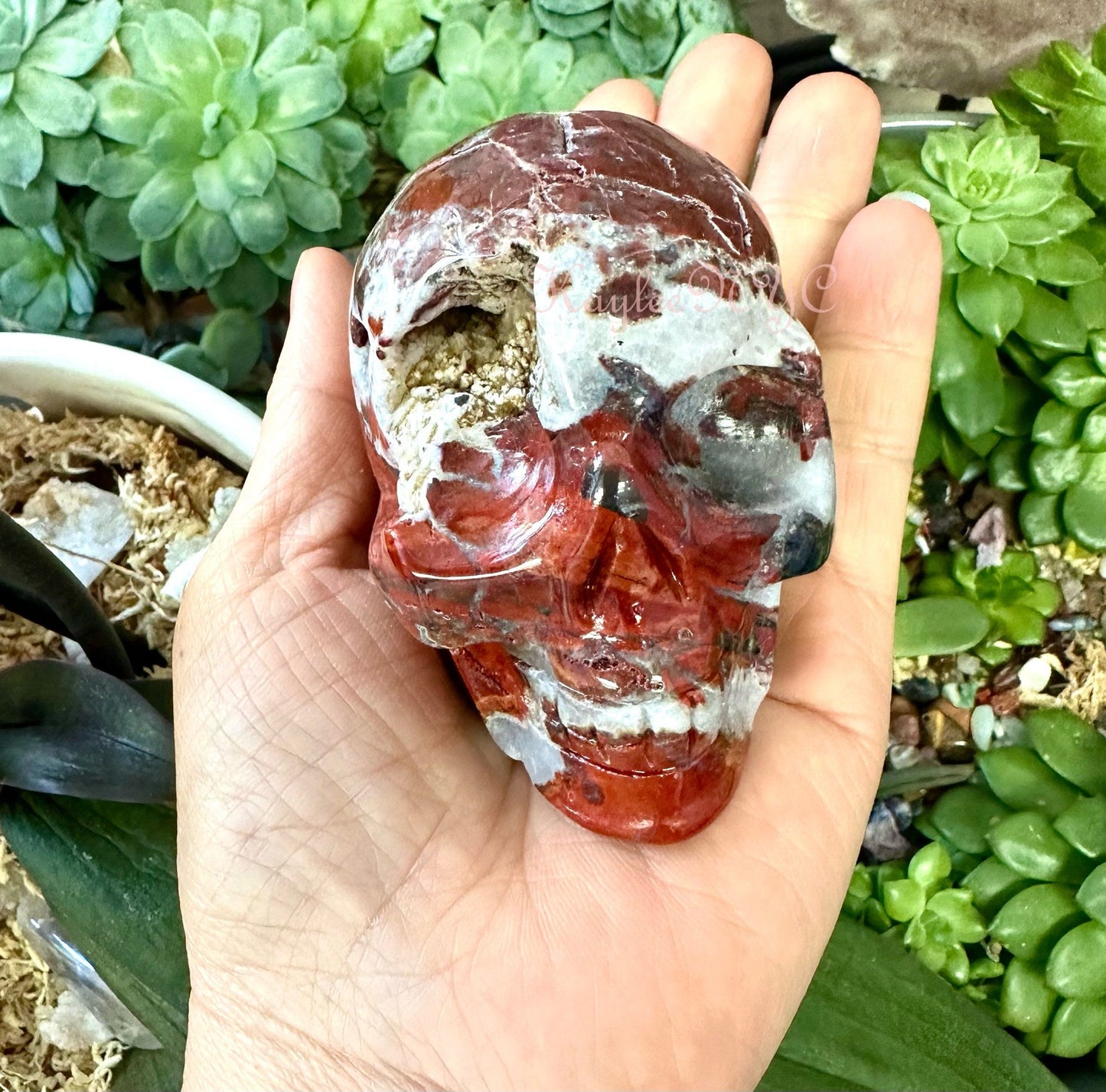 Wholesale lot 3 Pcs Natural Red Agate Crystal Skull