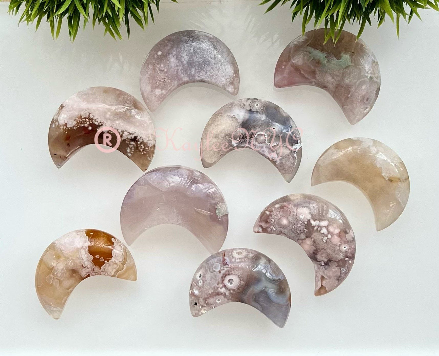 Wholesale Lot 1 lb Natural Flower Agate Crystal Moon Healing Energy