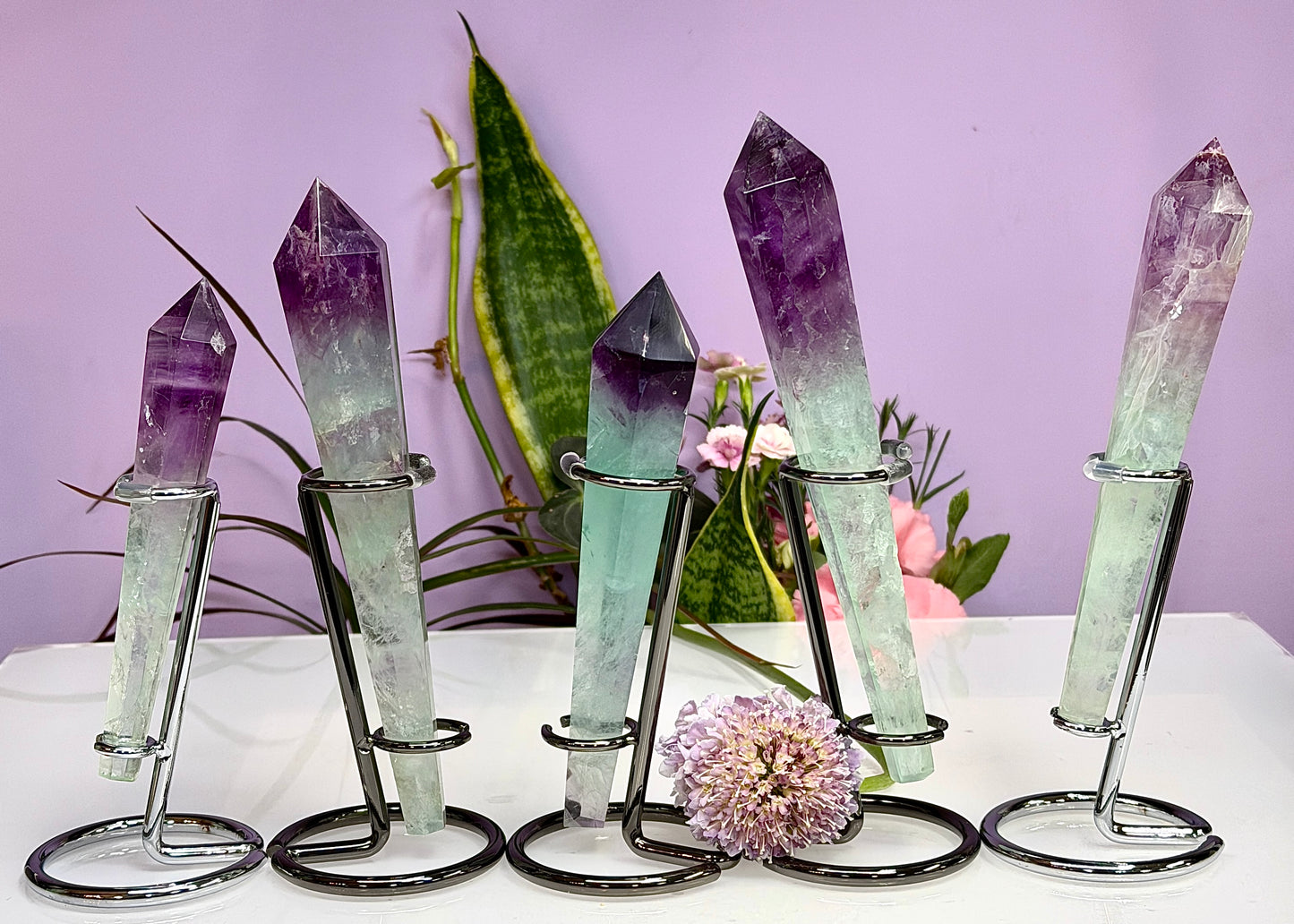 Wholesale Lot 5 pcs Natural Watermelon Fluorite Scepter w stand Crystal Energy