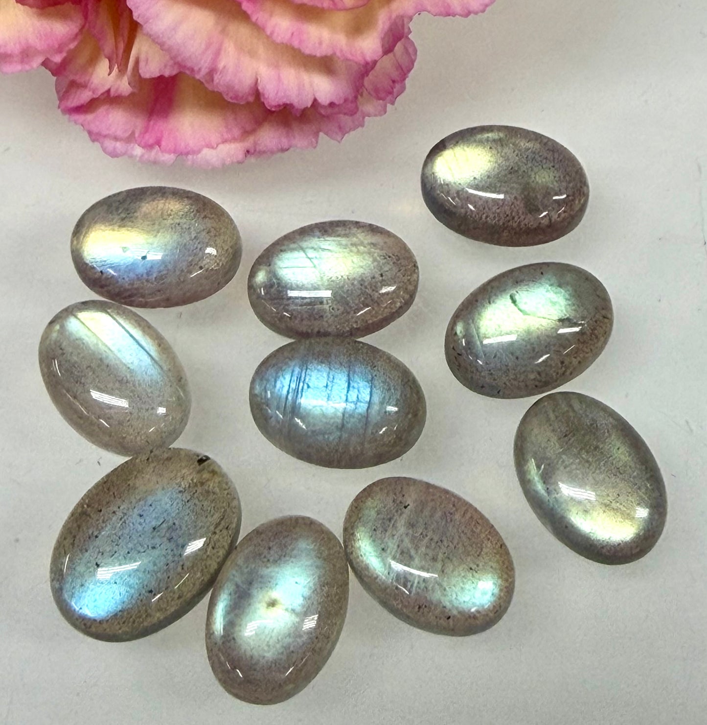 Wholesale Lot 10 pcs Natural Labradorite Cabochon Crystal Healing Energy ~10x14mm