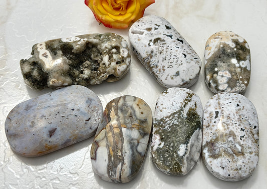 Wholesale 1 lb Lot Natural Ocean Jasper Palm Stone Crystal Energy
