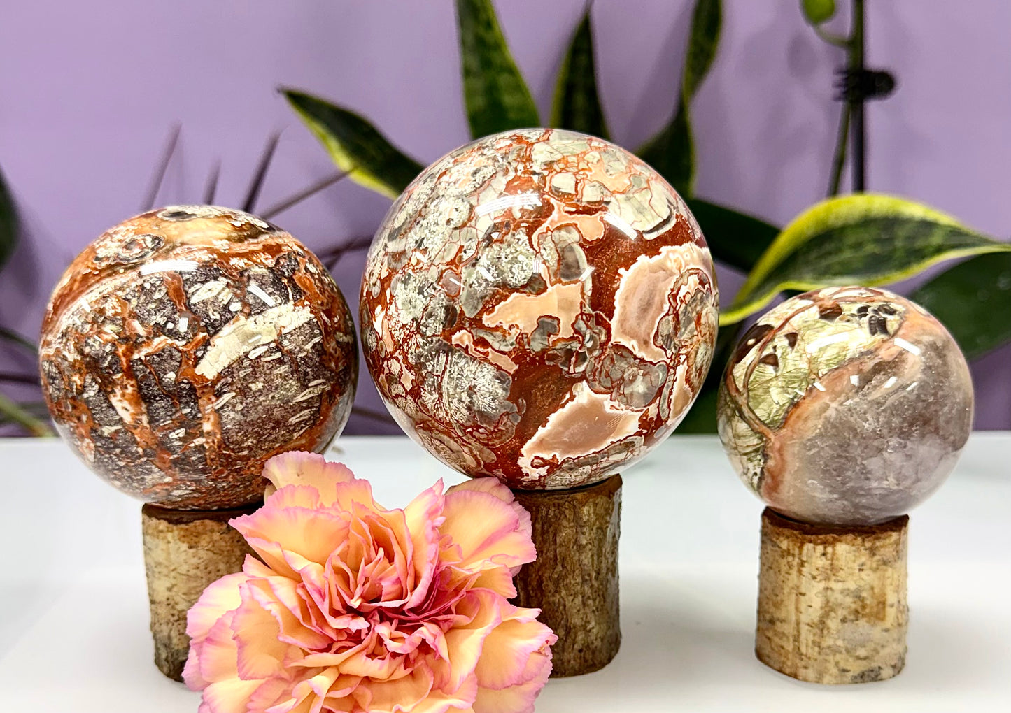Wholesale Lot 3-4 Pcs Natural Money Agate Sphere Crystal Ball 2.8-3lbs Healing Energy