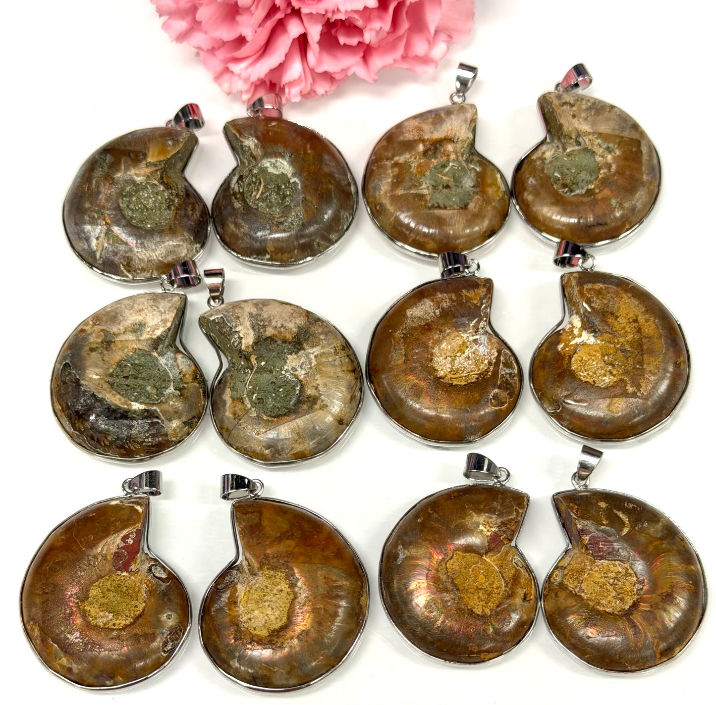 Wholesale Lot 12 Pcs Ammonite Pendant with Rhodium Findings Healing Crystal Energy