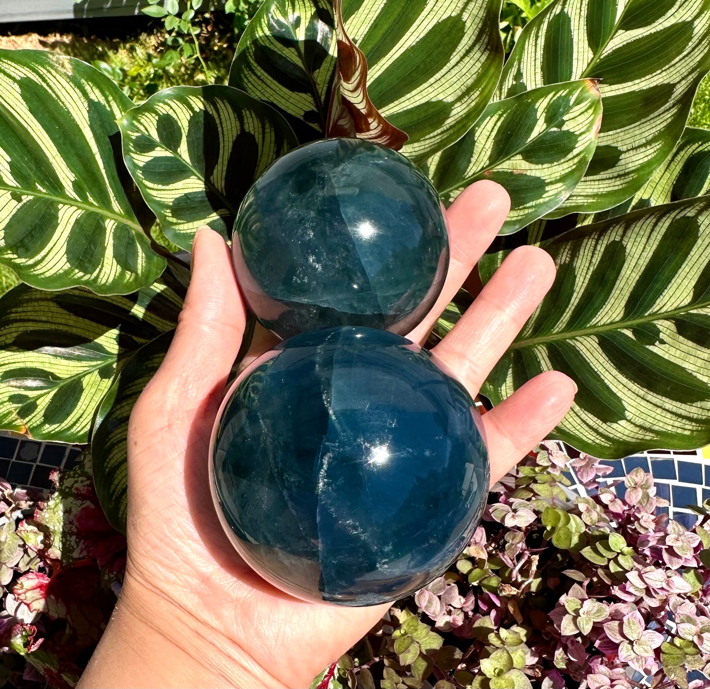 Wholesale Lot 4 to 5 Pcs Natural Blue Fluorite Sphere Crystal Ball 4.8 to 5 lbs  Healing Energy