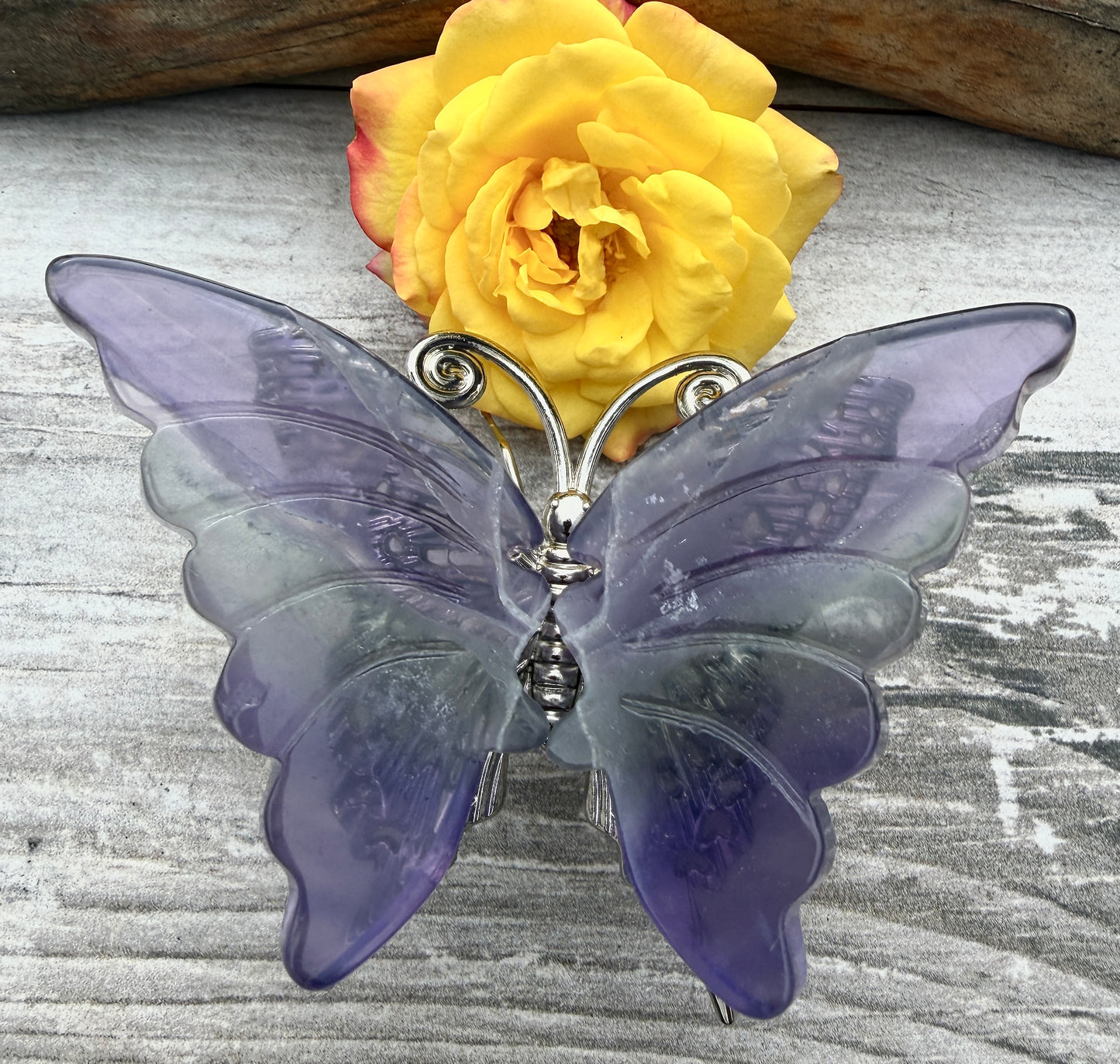 Wholesale Lot 5 pcs Natural Purple Fluorite Crystal Butterfly Healing