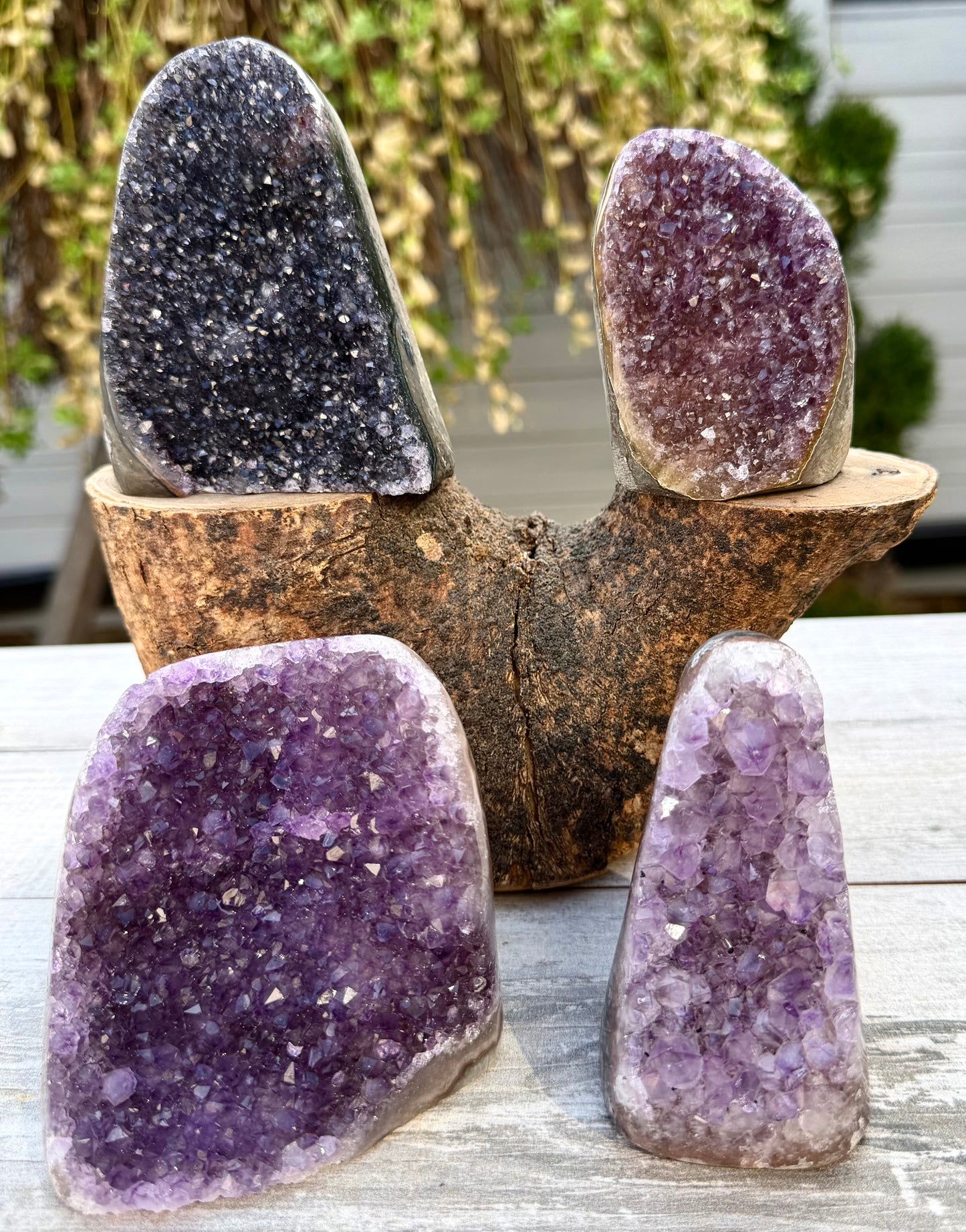 Wholesale Lot 4-5 pcs NaturalAmethyst cut base 4.8-5lbs Healing Energy