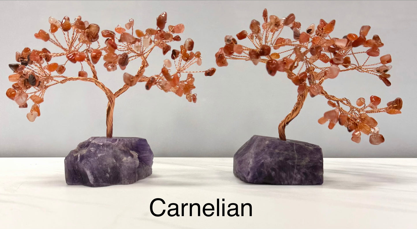 Wholesale Lot 7Pcs Bonsai Tree with Amethyst Crystal Base
