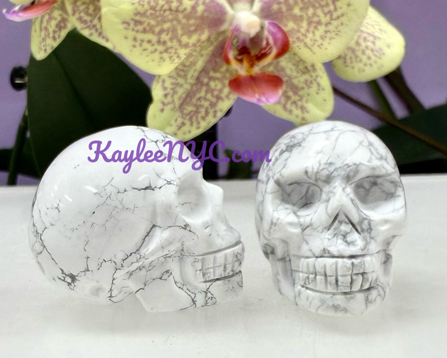 9 PCs 1.5” Natural Crystals Skull Healing Energy