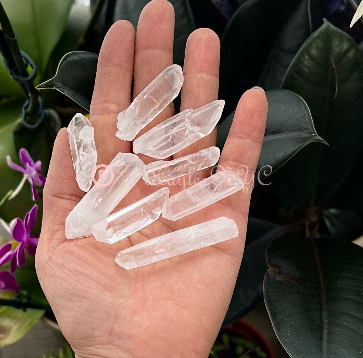 Wholesale Lot 1 Lb Natural Lemurian Quartz Wand Raw Crystal Nice Quality