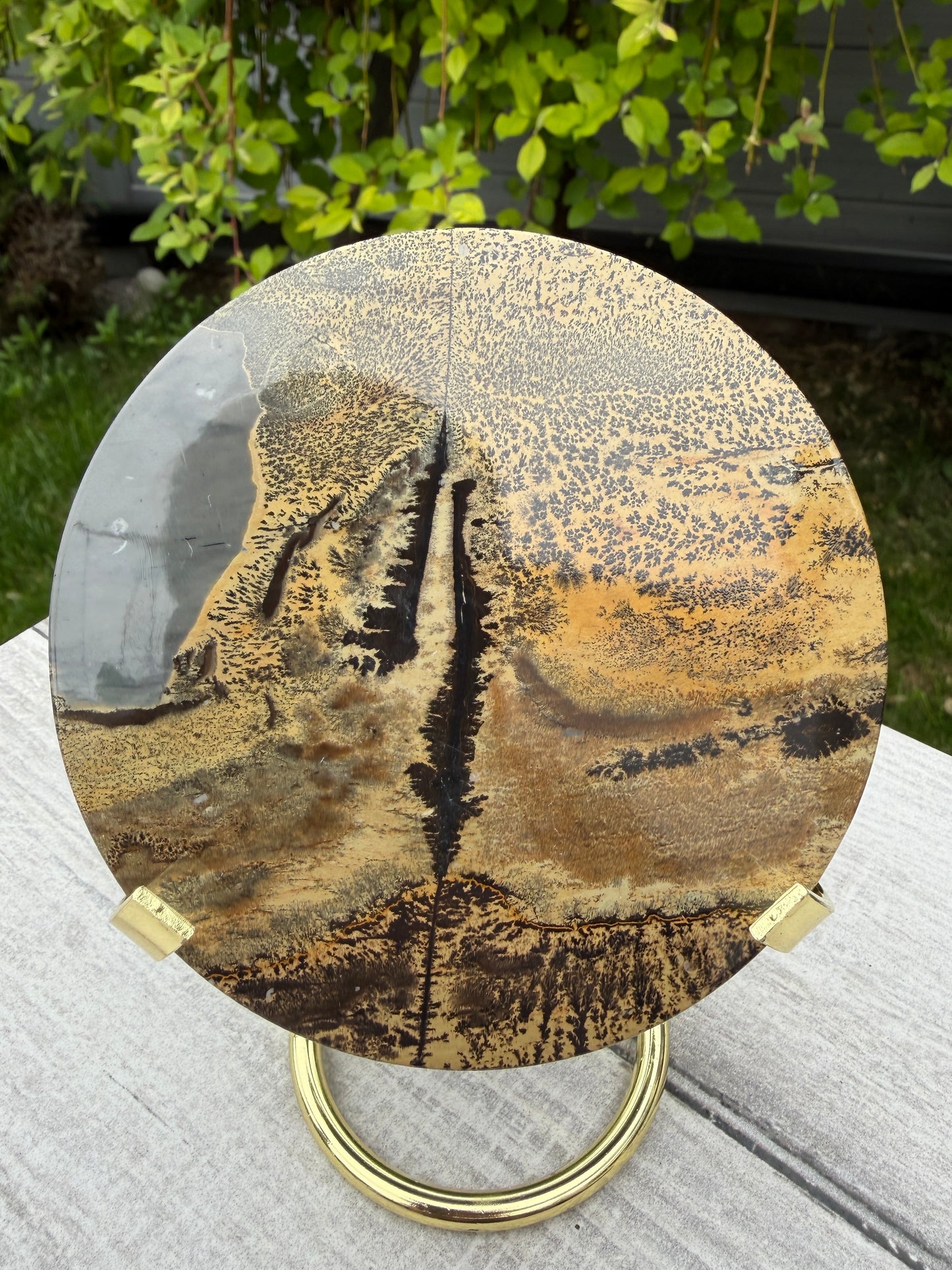 Wholesale Lot 4 pcs Natural Picture Jasper Slab with stand Crystal Healing Energy