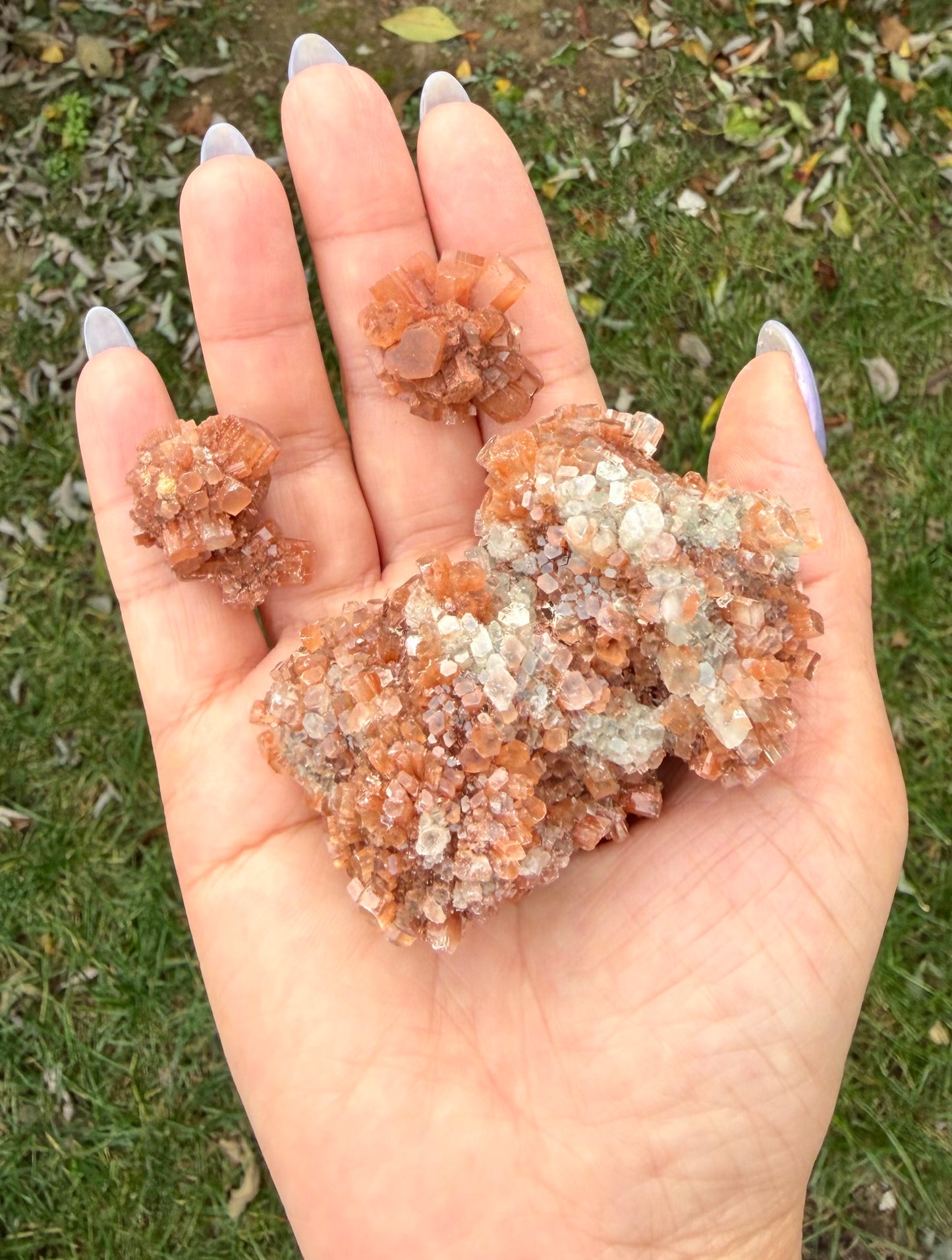 Wholesale Lot 2 lb Natural Aragonite Cluster Raw Crystal