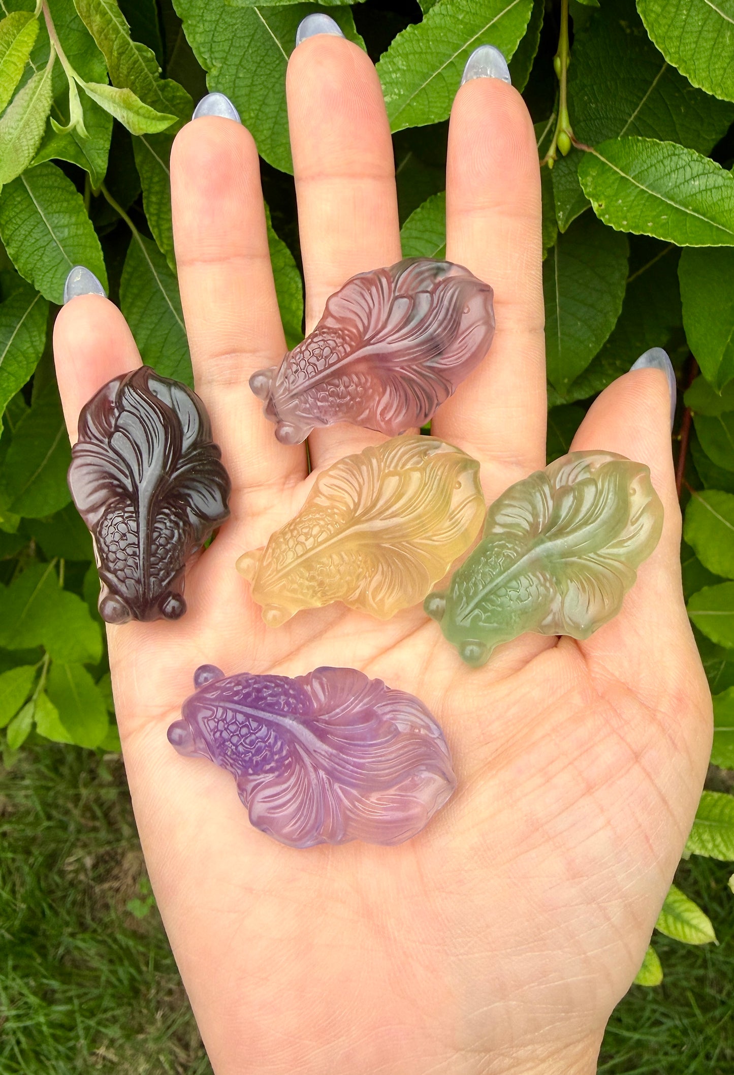 12 PCs 4cm Natural Fluorite Goldfish Carving Crystals Healing Energy