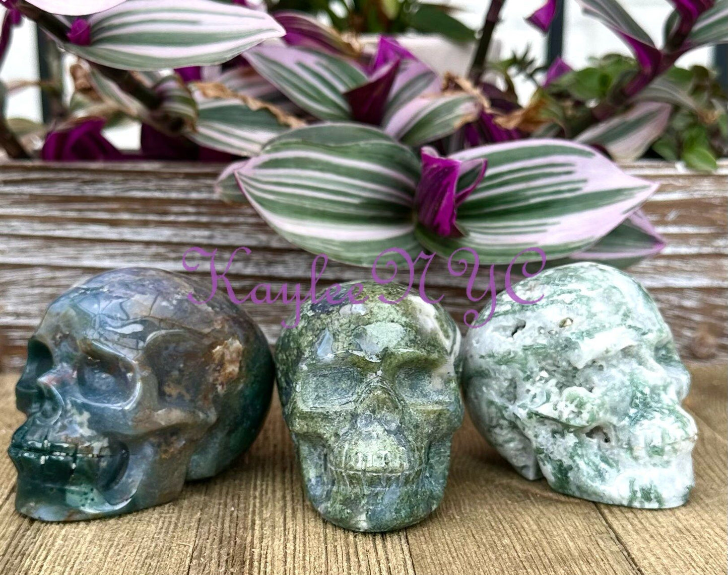 Wholesale lot 3 Pcs Natural Moss Agate Crystal Skulls Healing Energy