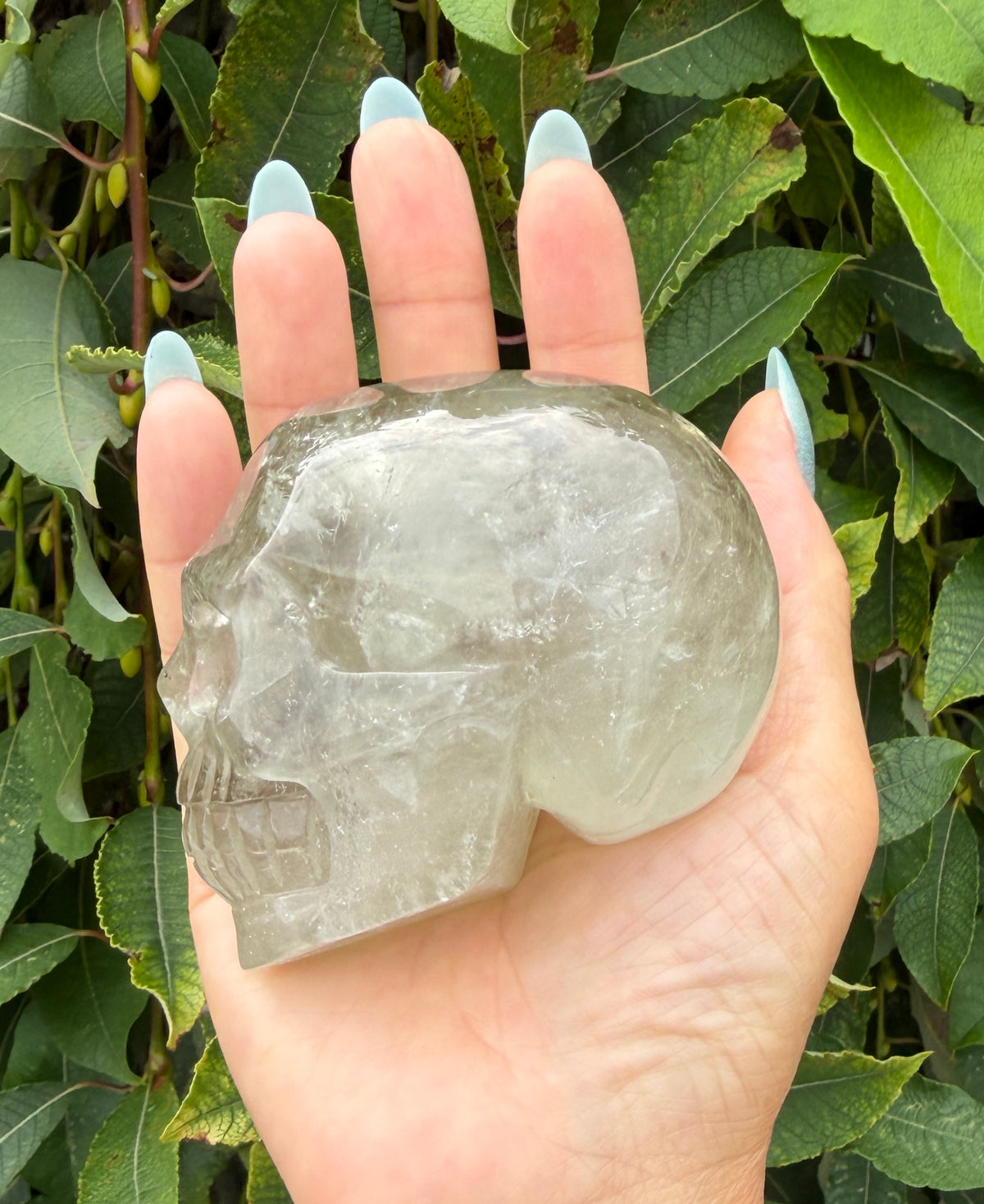 4 pcs Prasiolite Green Amethyst Skull Crystals Healing Energy