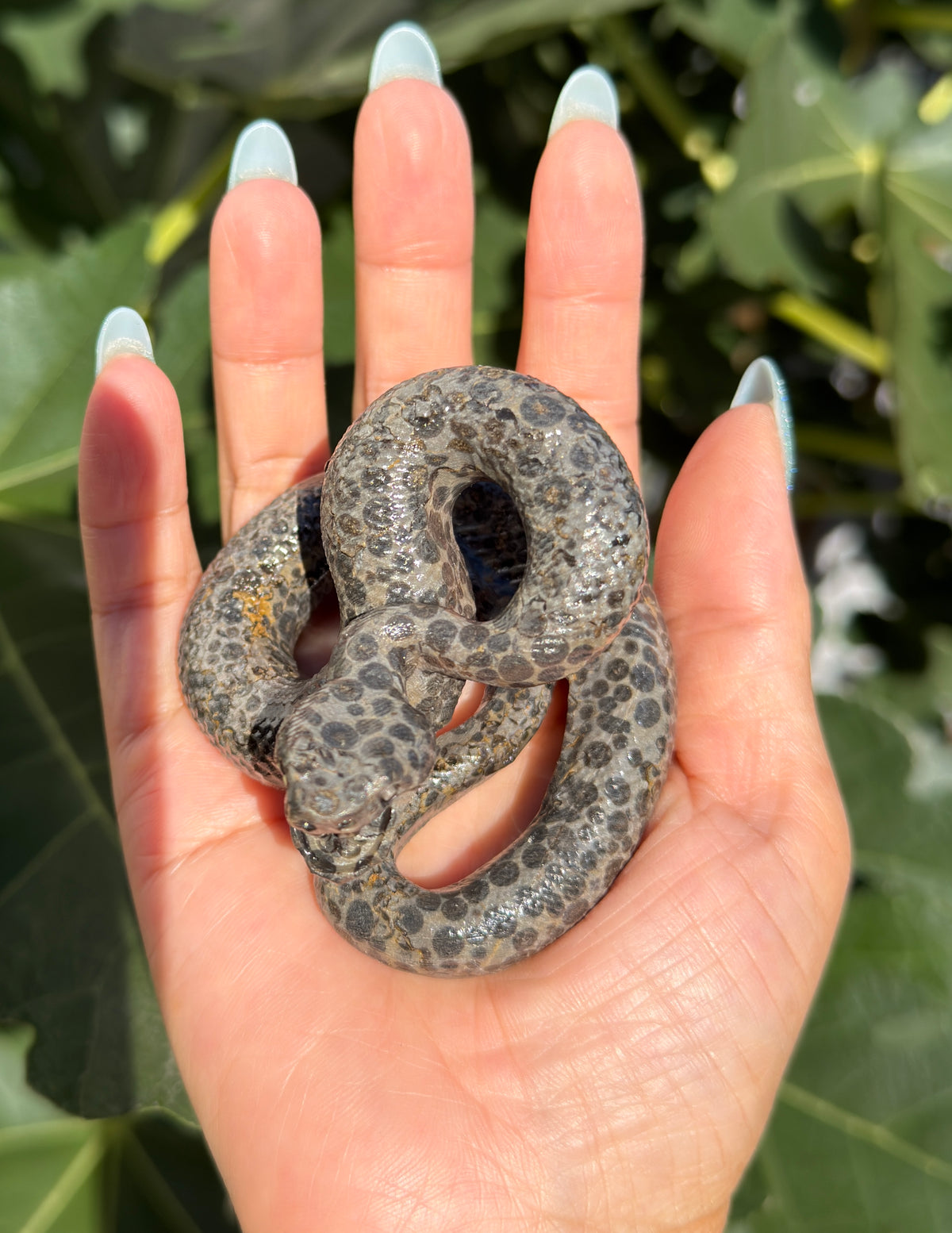 Wholesale Lot 4 Pcs Natural Money Stone and Leopard Stone Snakes Healing Energy