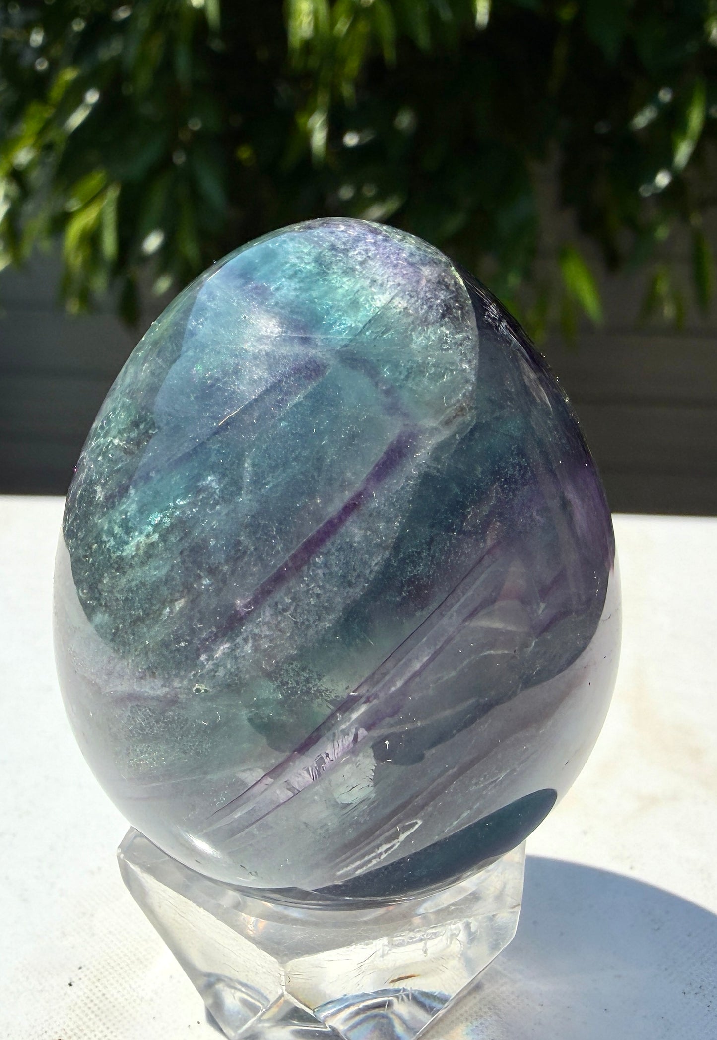 Wholesale Lot 8 pcs Natural Fluorite Egg crystals Healing Enery