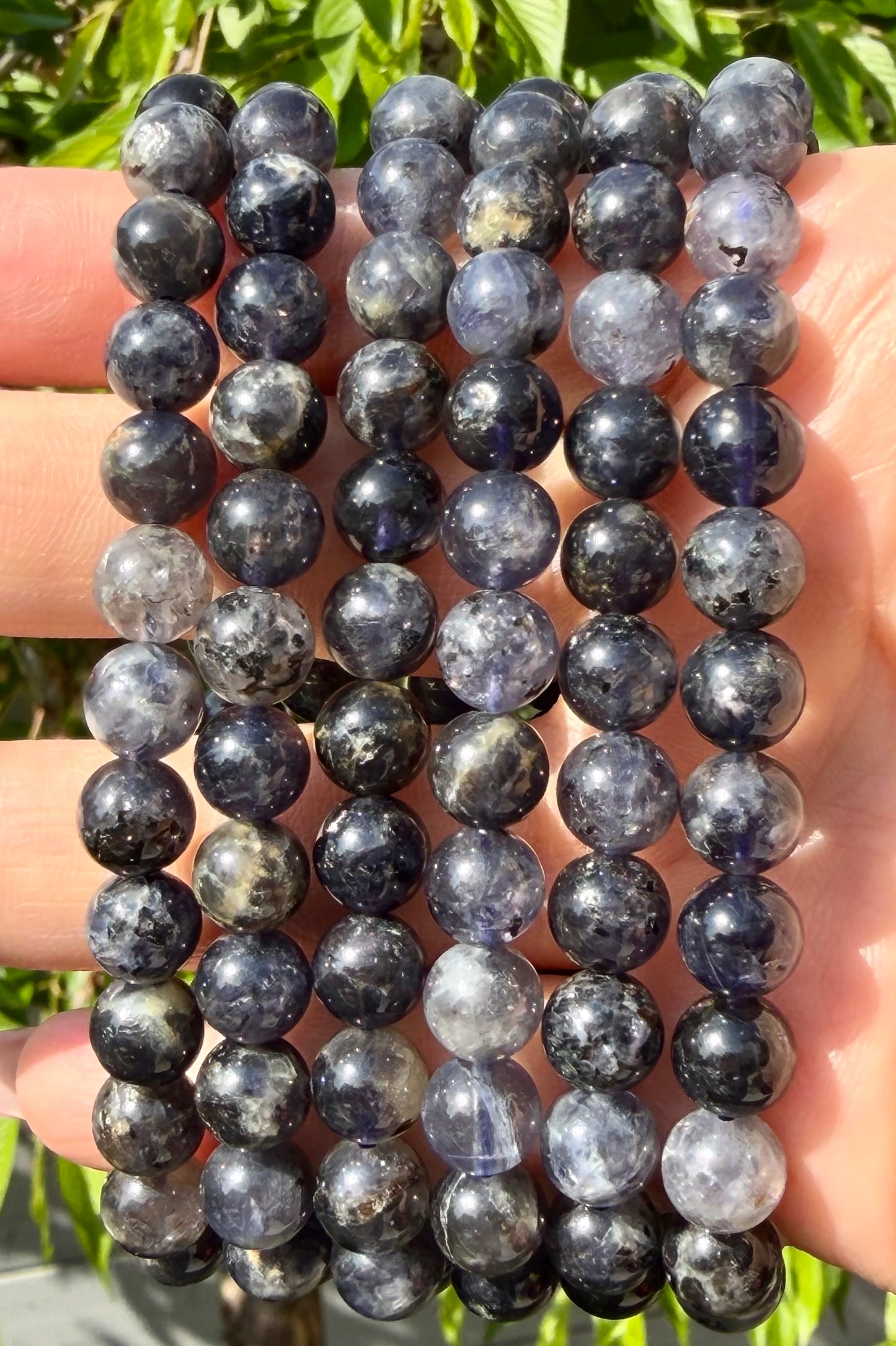 Wholesale Lot 6 Pcs Natural Iolite 8mm 7.5” Crystal Healing Stretch Bracelet