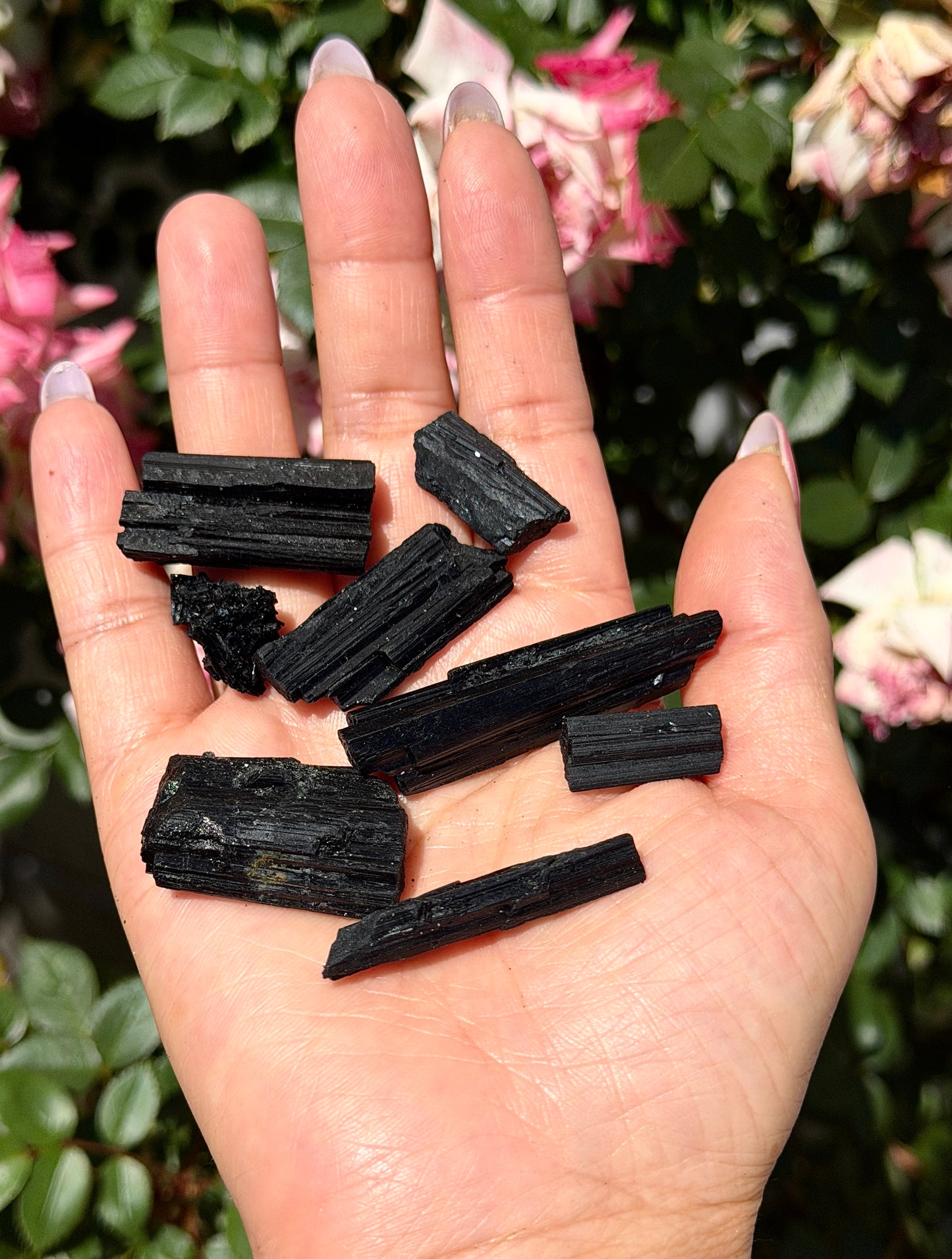 Wholesale Lot 1 lb Natural Black Tourmaline Schorl Crystal Rough