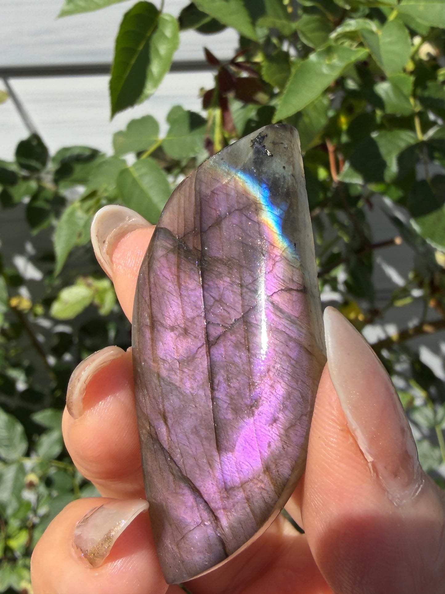 Wholesale Lot 12 pcs Natural Sunset Labradorite Cabochon Crystal Healing Energy