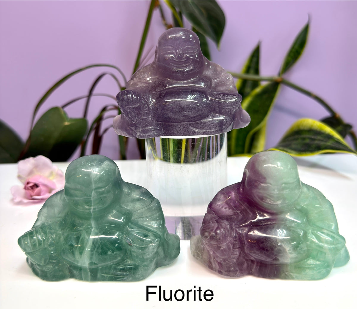 Wholesale Lot 8cm Mixed Natural Crystals Buddha Energy Healing