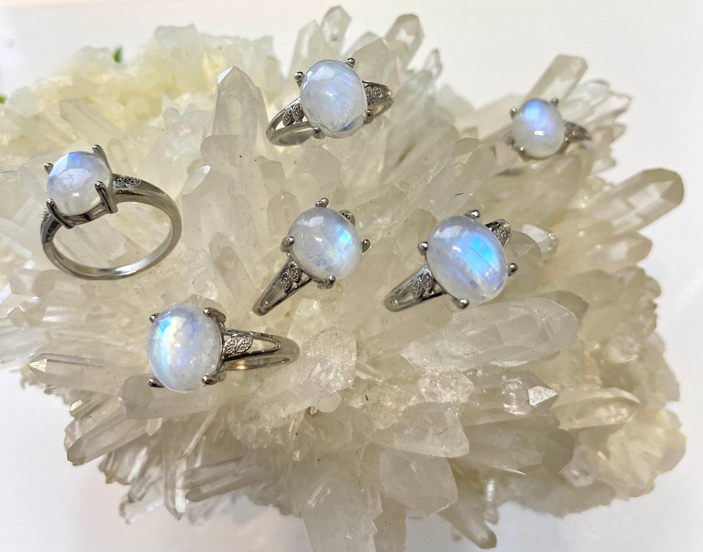 Wholesale Lot 6 pcs Natural Moonstone Ring White Bronze