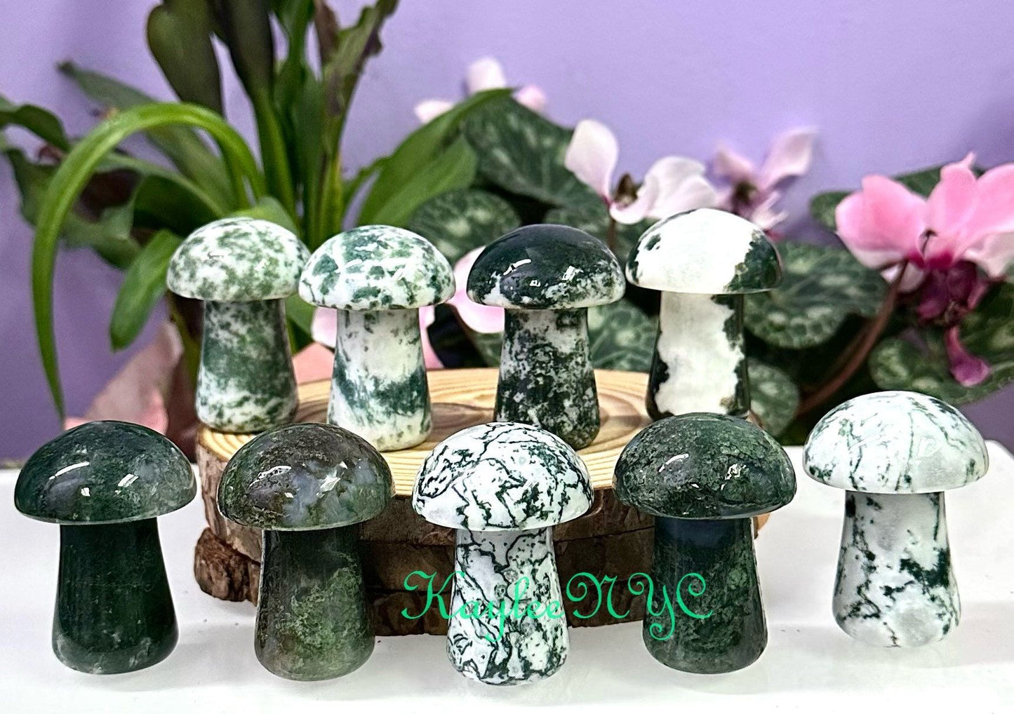 Wholesale Lot 9 PCs 2” Natural Moss Agate Mushroom Healing Energy