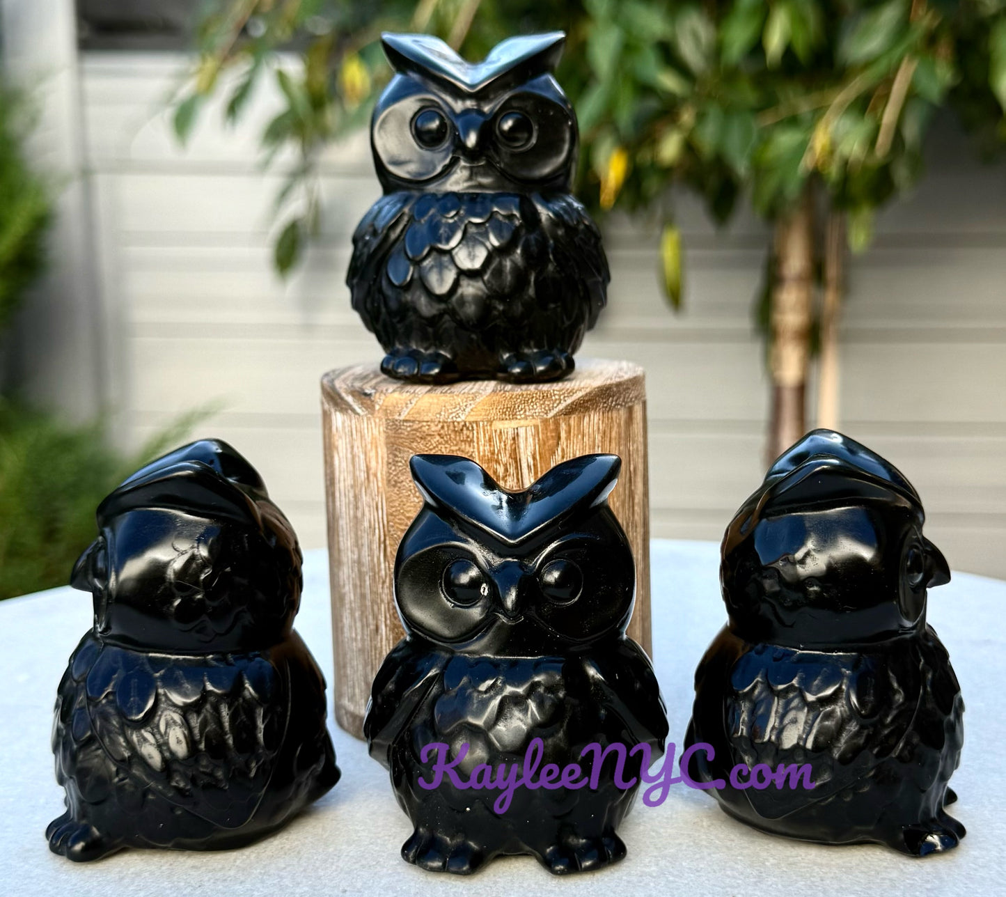 Wholesale Lot 4 pcs Natural Black Obsidian Owls Crystals Healing Energy