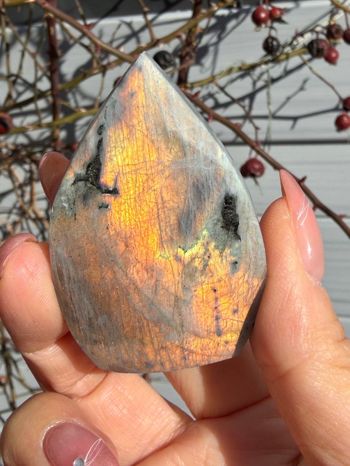 2 lbs Natural Sunset Labradorite Freeform Crystal Wholesale
