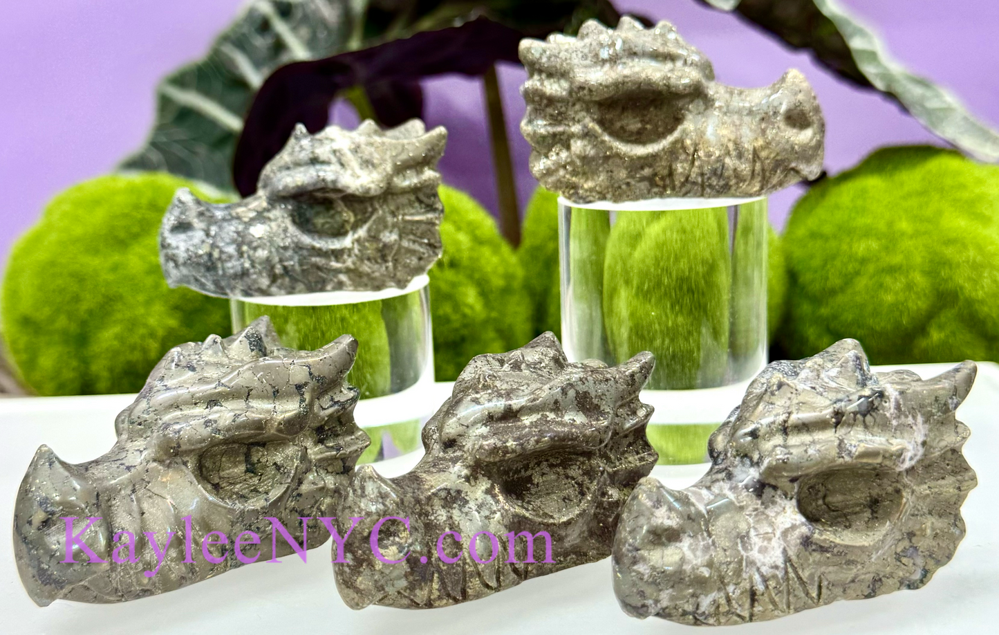 5 PCs Natural Black Pyrite Dragon Head Crystals Healing Energy