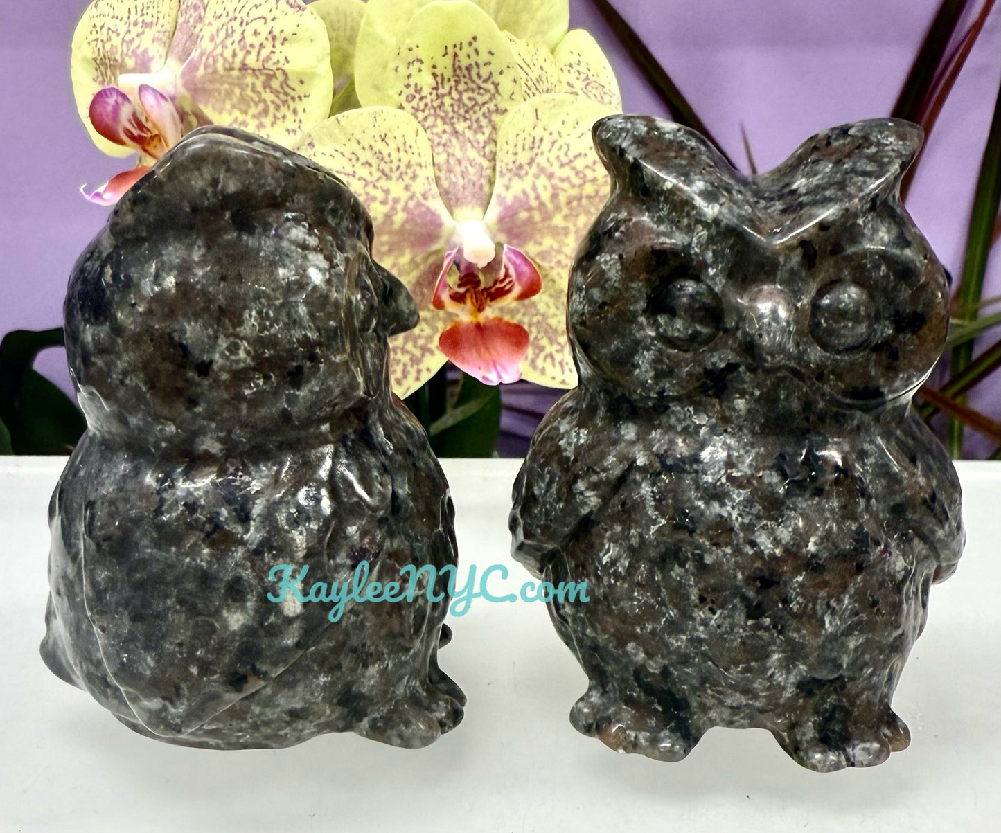 Wholesale Lot 4 pcs Natural Black Obsidian Yooperlite aka Emberlite Owls Crystals Healing Energy