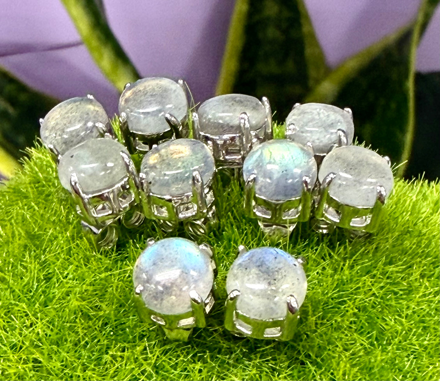 Wholesale 5 Pairs Natural Labradorite Sterling Silver(925) Posts 7mm