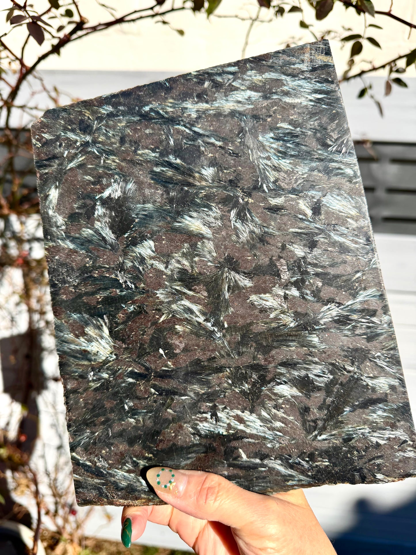 2 lbs Natural Astrophyllite / Arfvedsonite Slabs