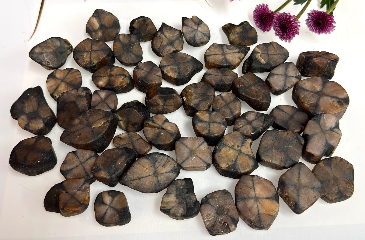 Wholesale Lot 2 lbs Natural Chiastolite Tumble Andalusite Cross Stone Crystal Healing Energy