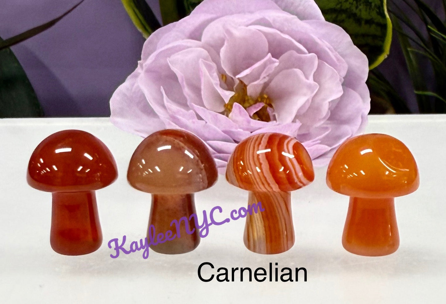 Wholesale Lot 50 PCs Natural Mixed 20mm Crystal Mushroom Healing Energy