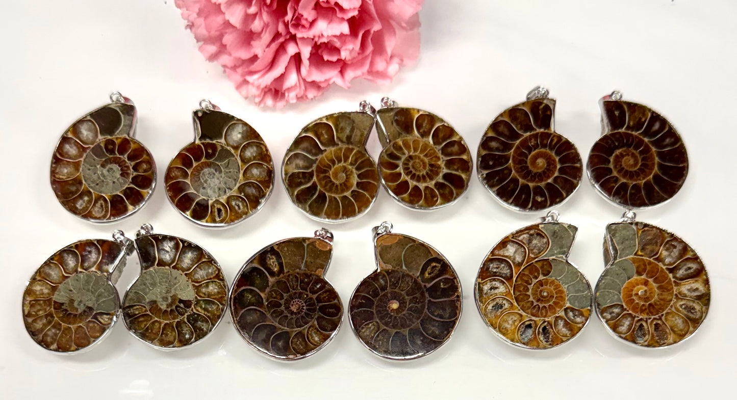 Wholesale Lot 12 Pcs Ammonite Pendant with Rhodium Findings Healing Crystal Energy