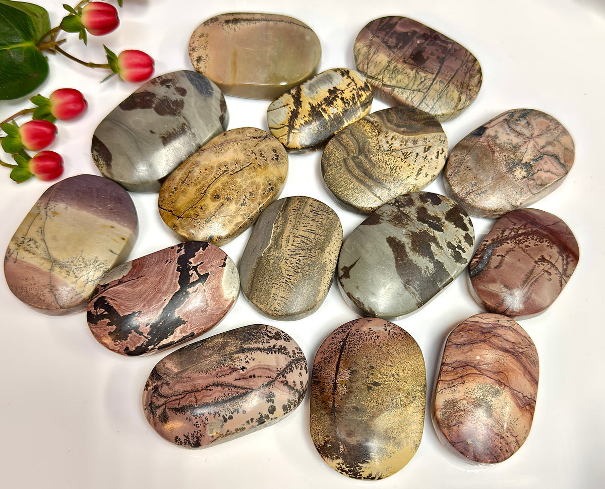 Wholesale 2 Lb Lot Natural Picture Jasper Palm Stones Crystal Natural Energy