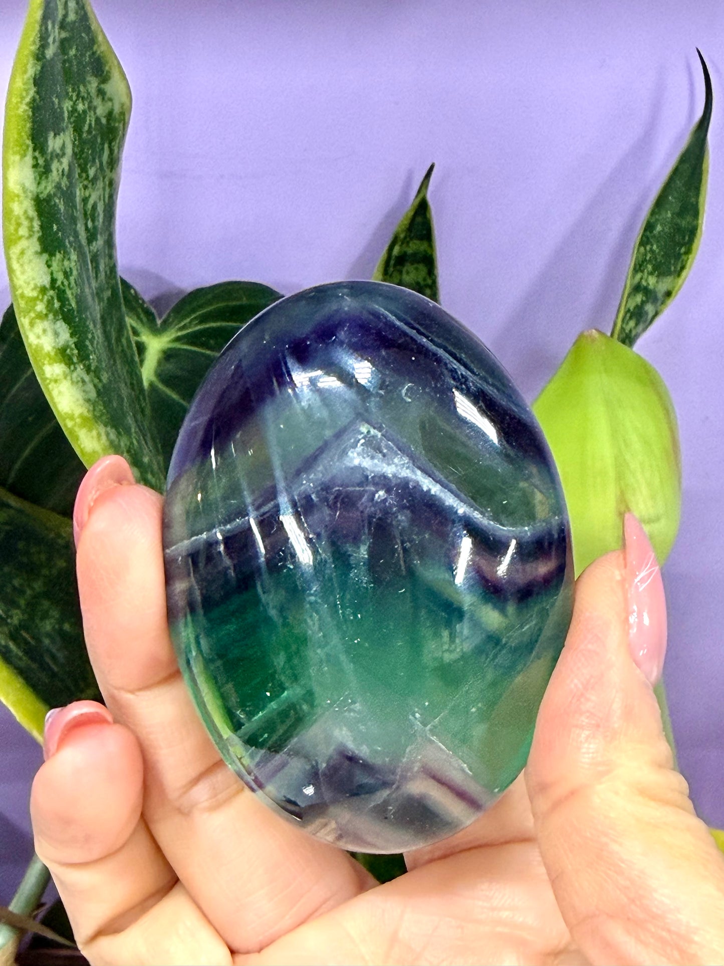 Wholesale Lot 8 pcs Natural Rainbow Fluorite Palm Stones Crystal Natural Energy 2.5-2.8lbs