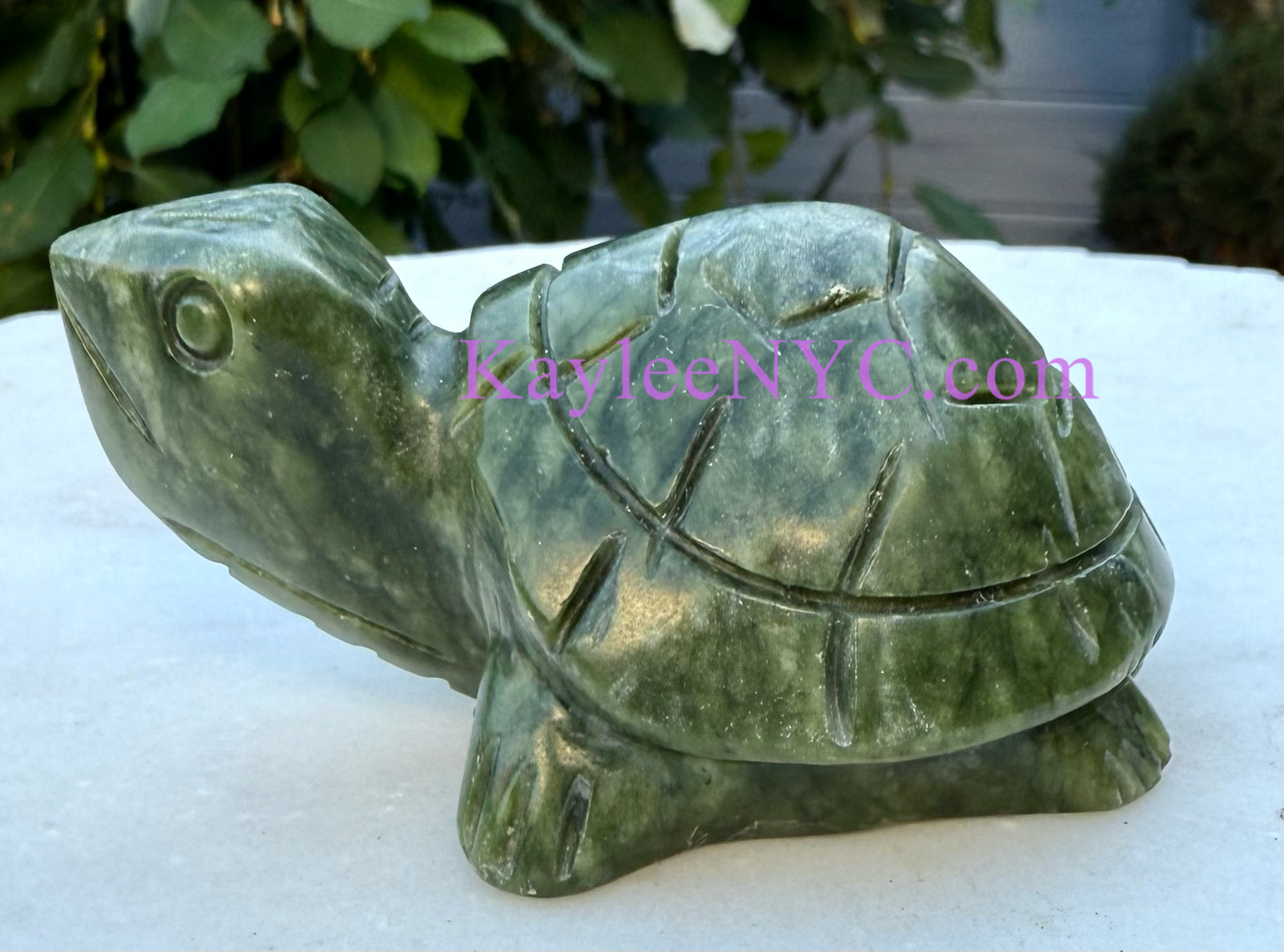 6 PCs Natural Nephrite Jade Turtle healing energy