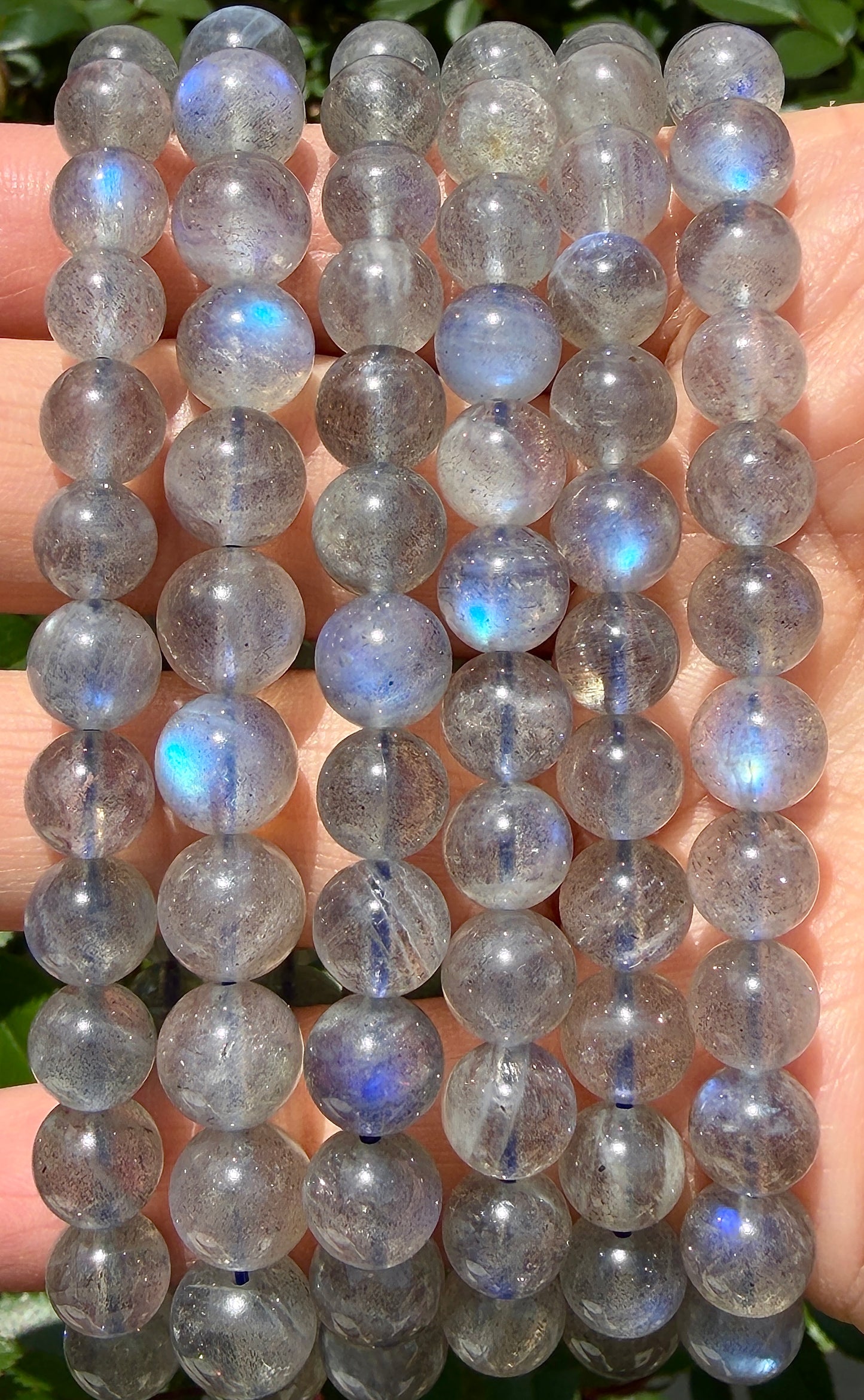 Wholesale 6 Pcs Natural Labradorite 8mm 7.5” Crystal Healing Stretch Bracelet