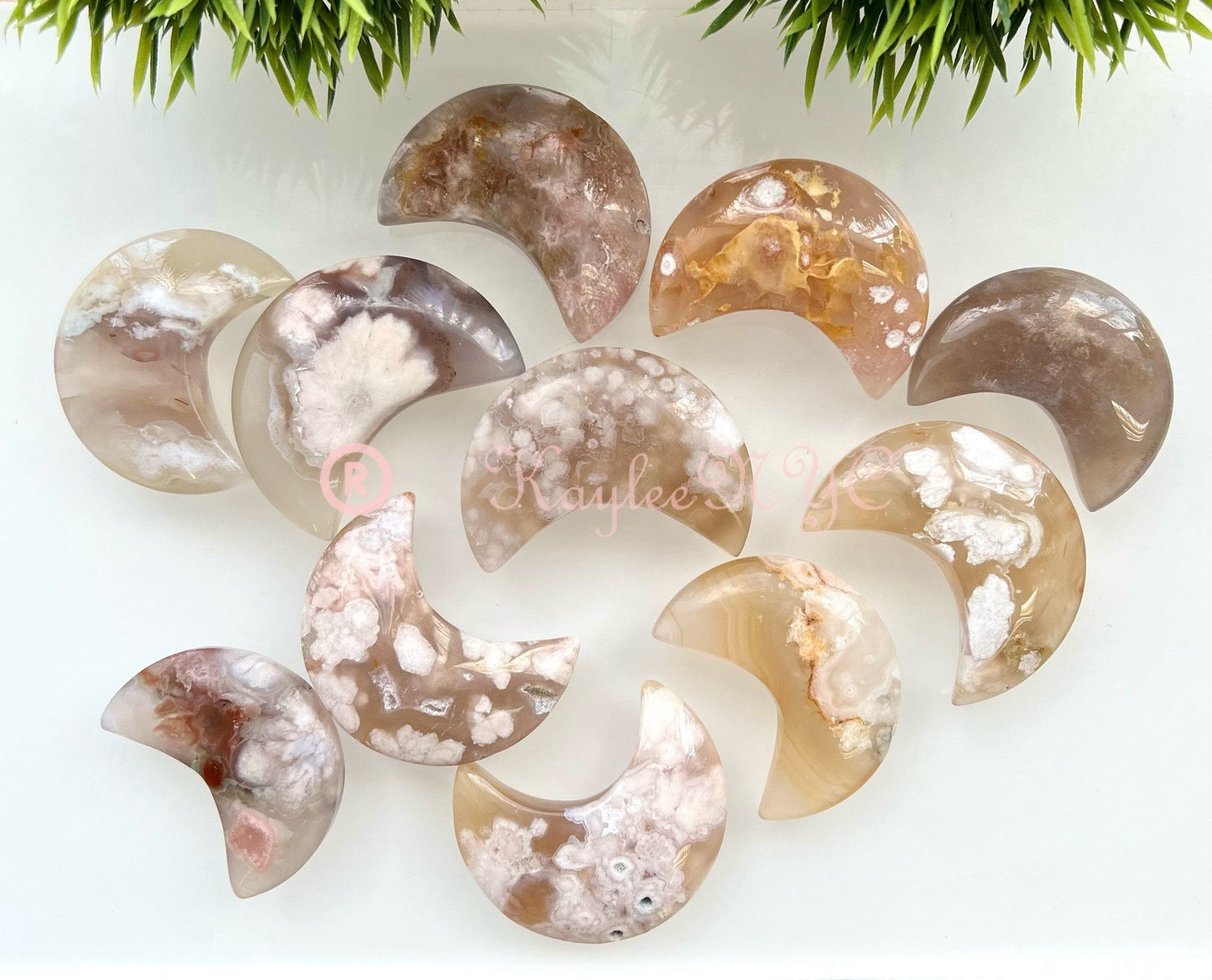 Wholesale Lot 1 lb Natural Flower Agate Crystal Moon Healing Energy