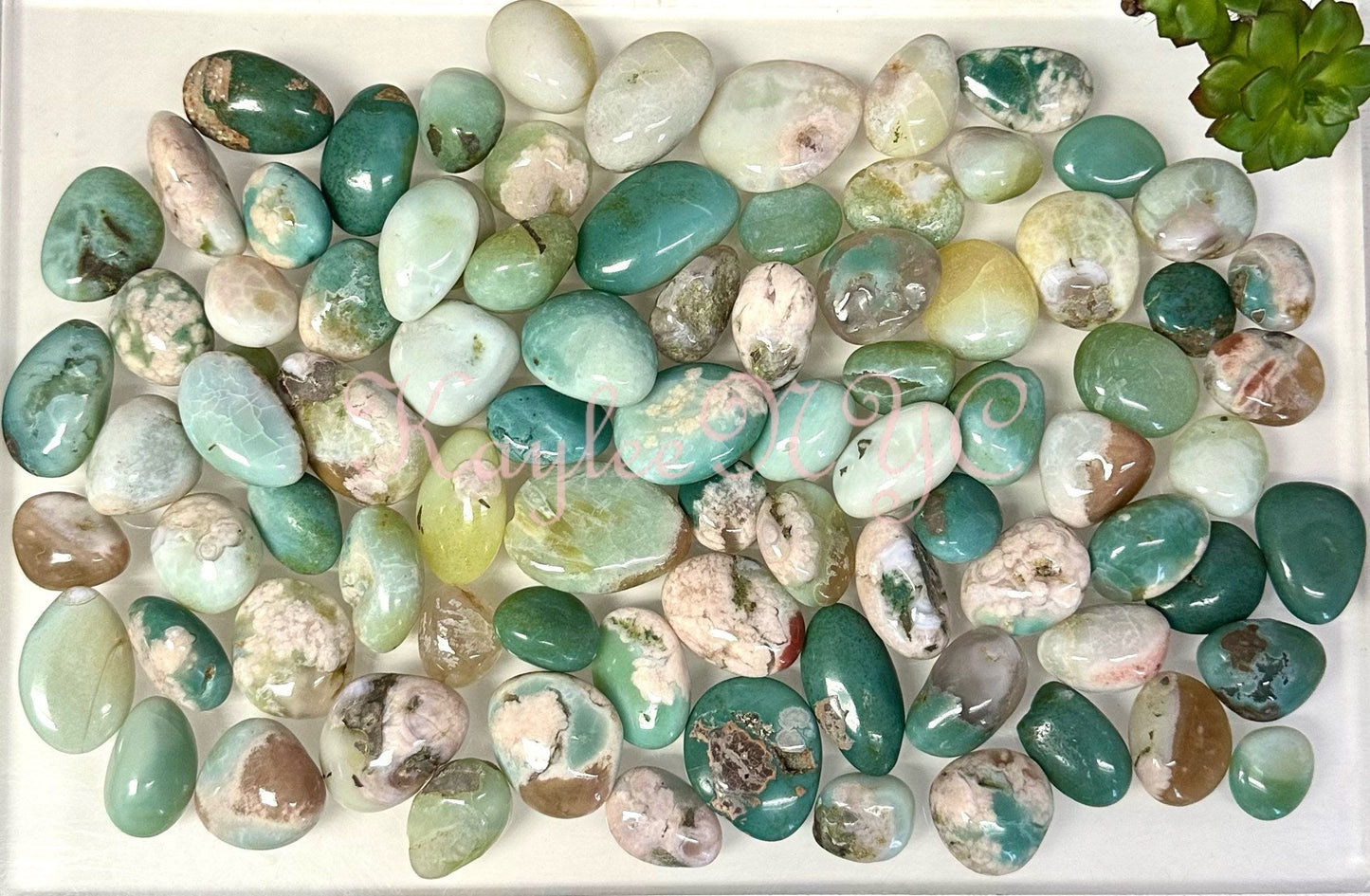 Wholesale Lot 2 Lbs Natural Green Flower Agate Tumble Healing Energy Nice Quality