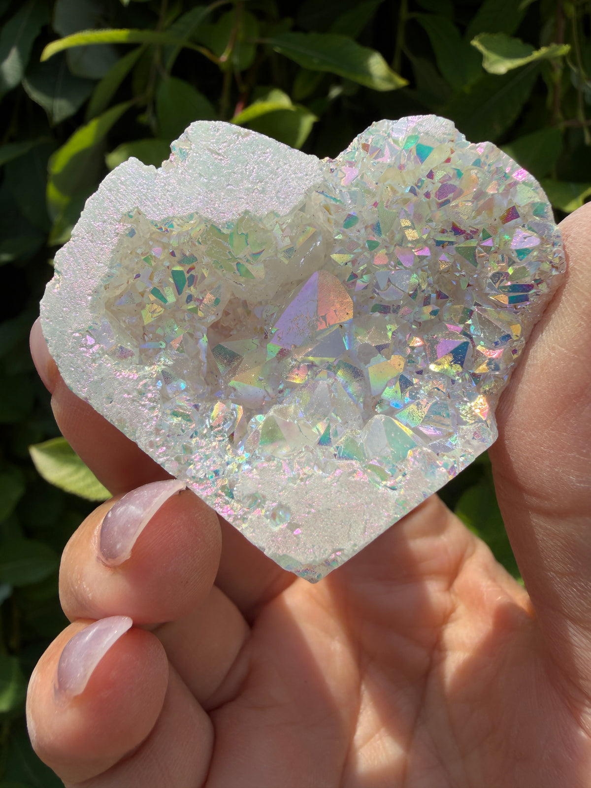 Wholesale Lot 1 Lb Angel Aura White Druzy Quartz Heart Crystal Healing Energy