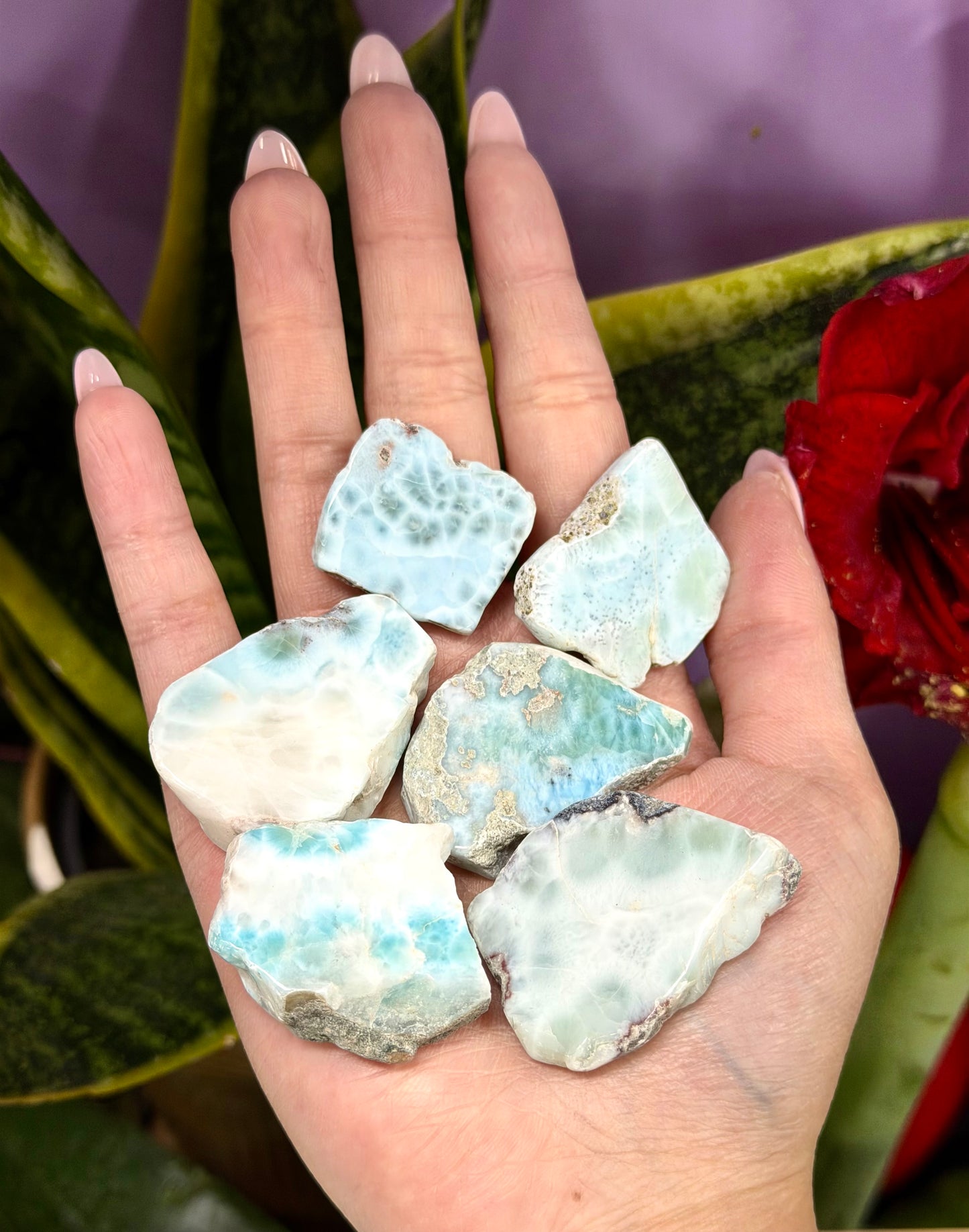 Wholesale Lot 1 lb Natural Larimar Slabs Crystal Healing Energy