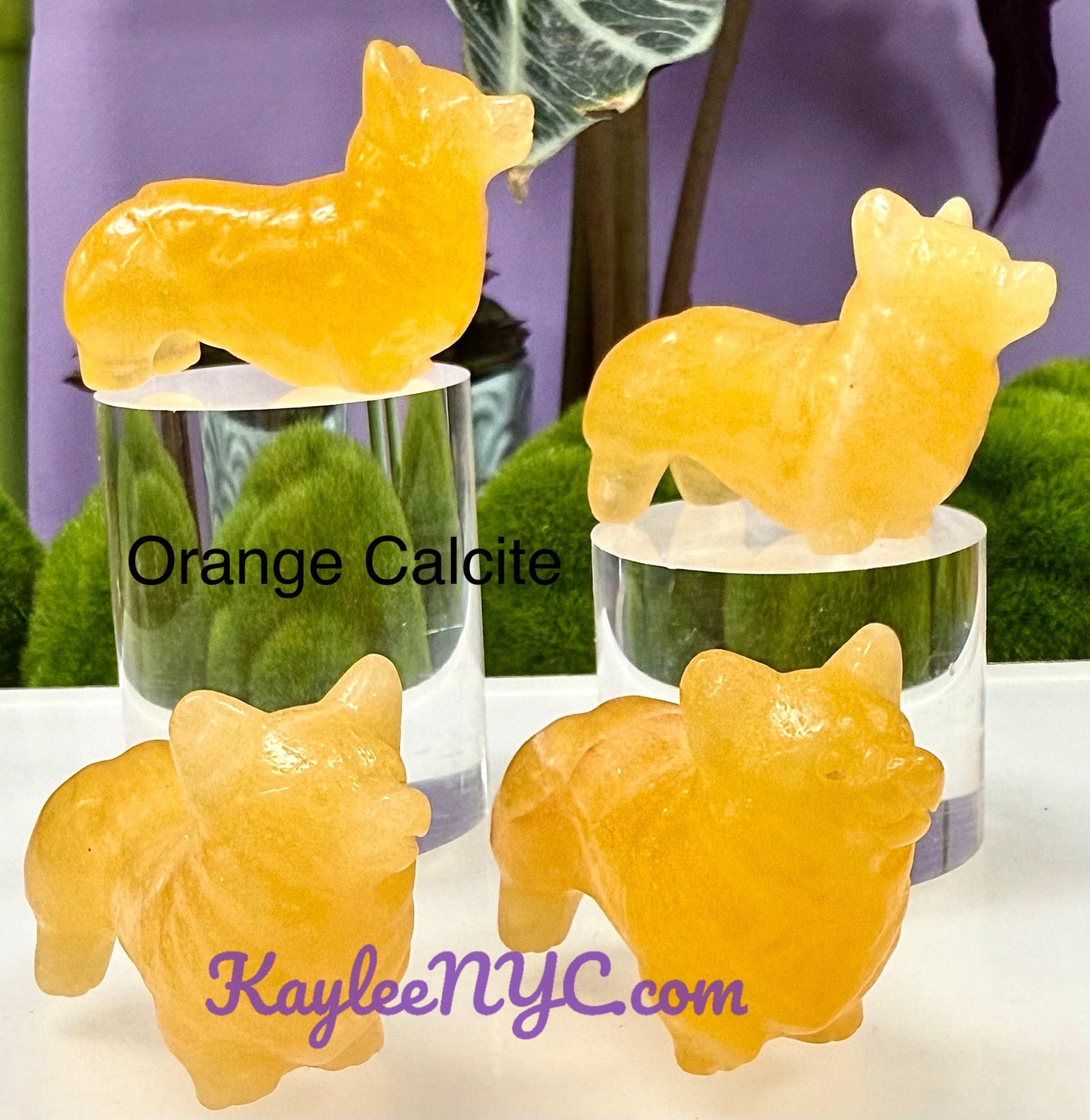 Wholesale Lot 6 PCs Natural Crystals  Corgi Healing Energy