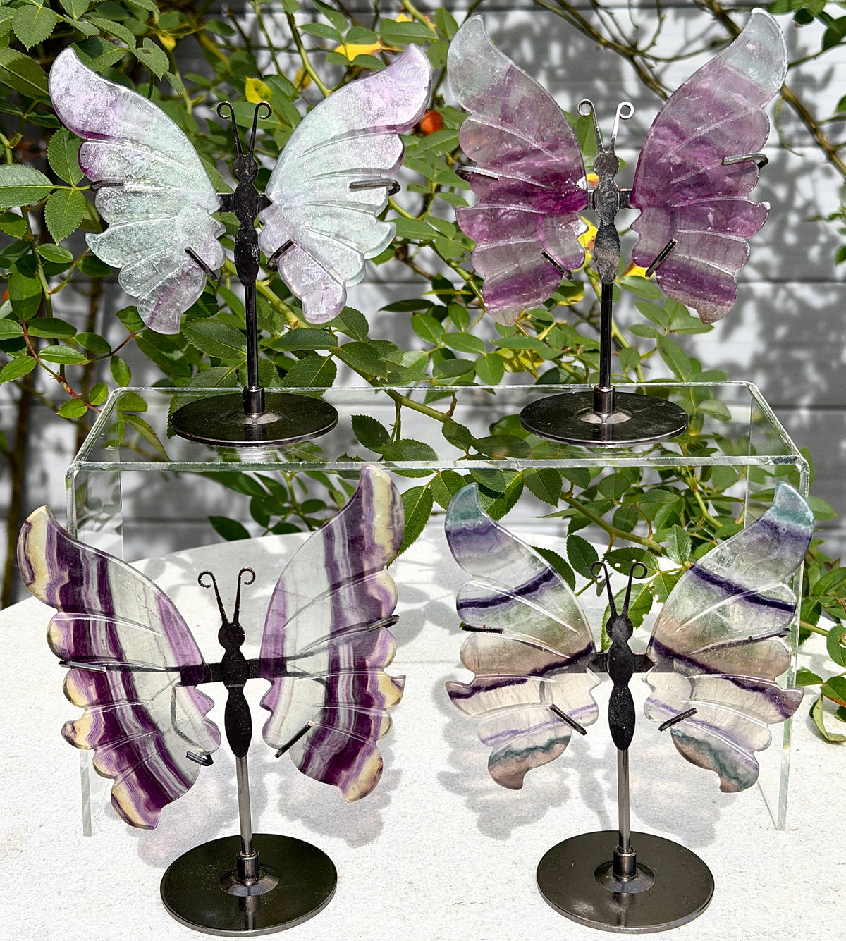Wholesale Lot 4 PCs Natural Fluorite Crystal Butterfly w/stand Healing Energy