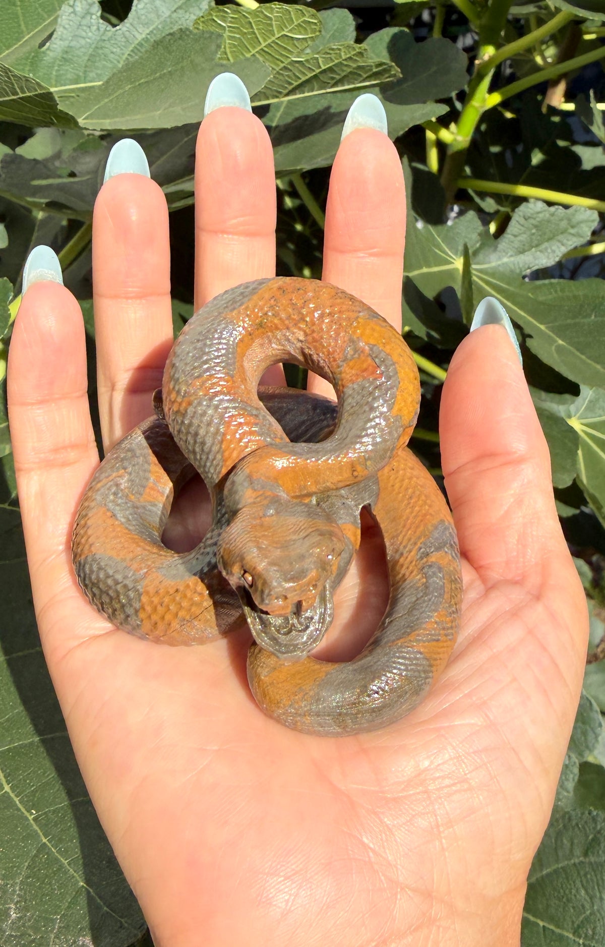 Wholesale Lot 4 Pcs Natural Money Stone and Leopard Stone Snakes Healing Energy